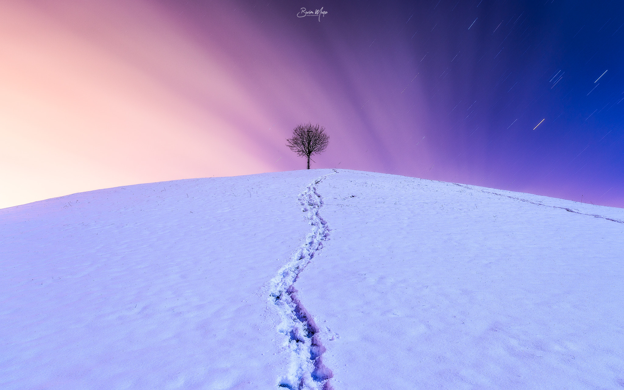 Nikon Df sample photo. The lonely tree photography