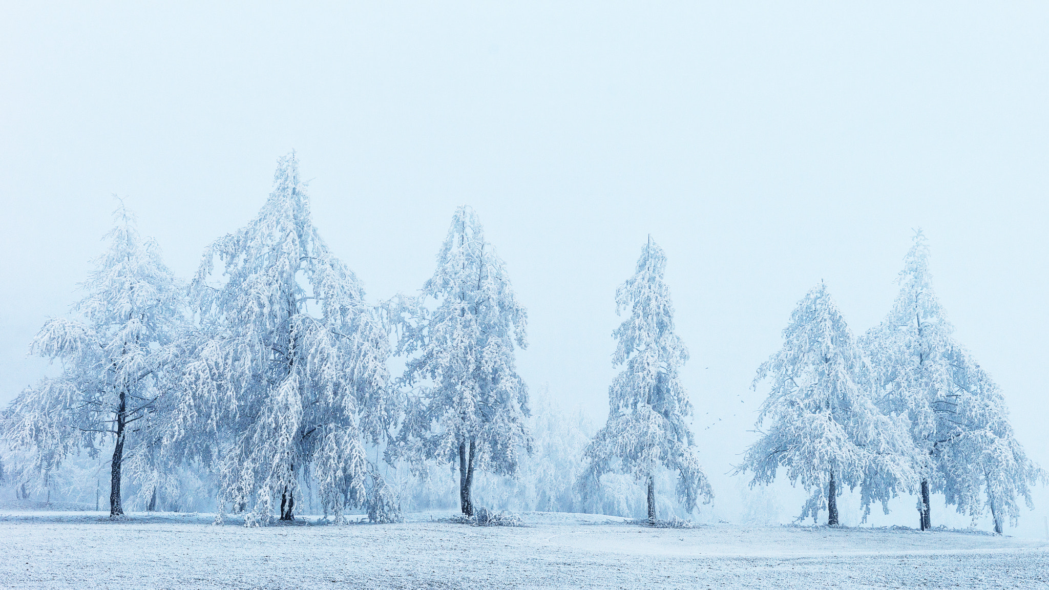 Sony SLT-A99V sample photo. Frozen dreams in blue photography