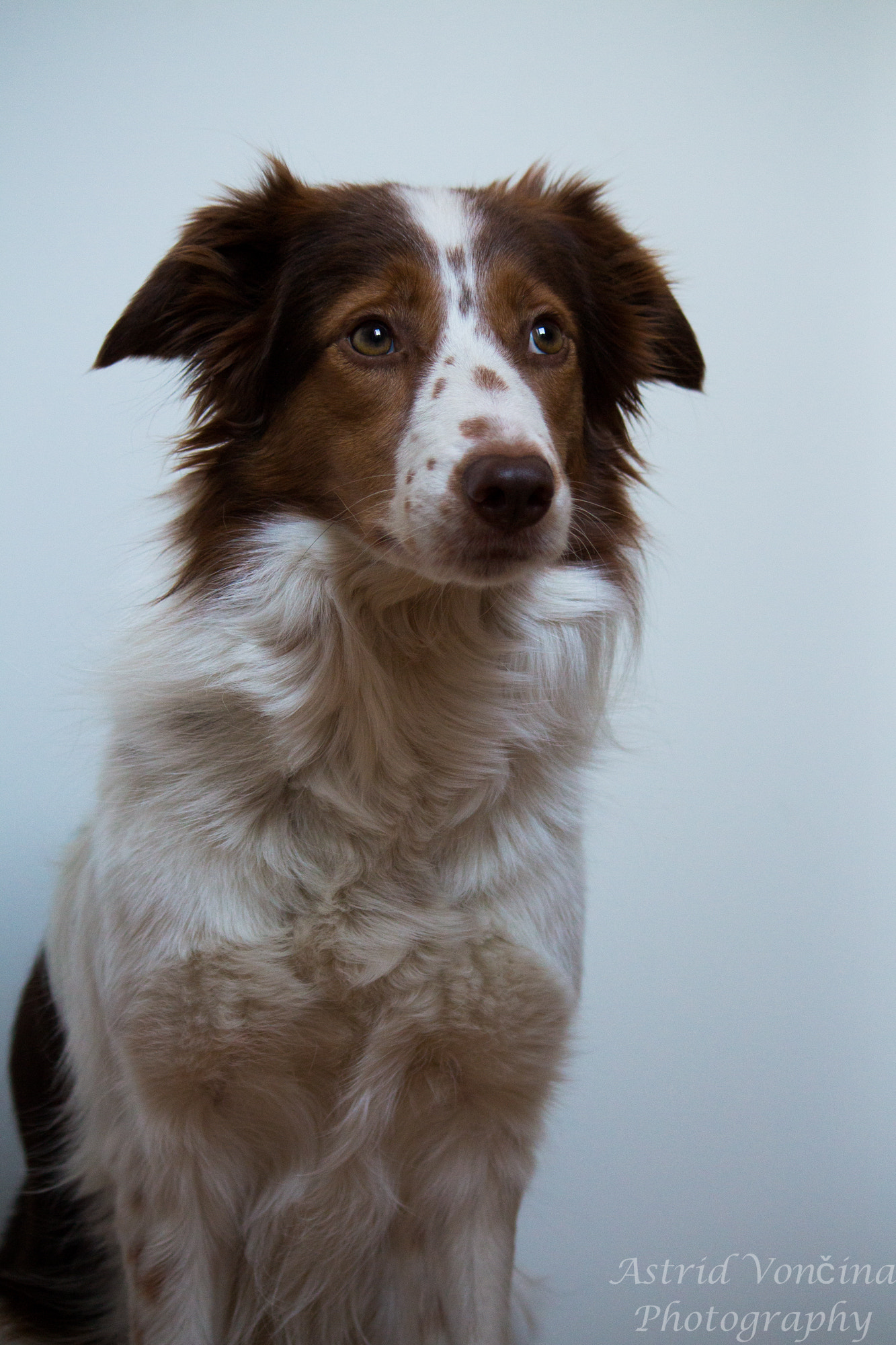 Canon EF-S 55-250mm F4-5.6 IS sample photo. Little cutie photography