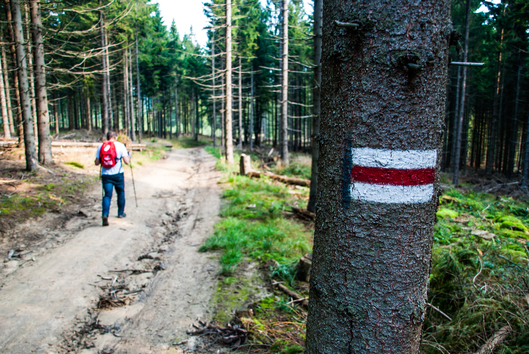 Sigma 18-200mm F3.5-6.3 DC OS HSM sample photo. Red road photography