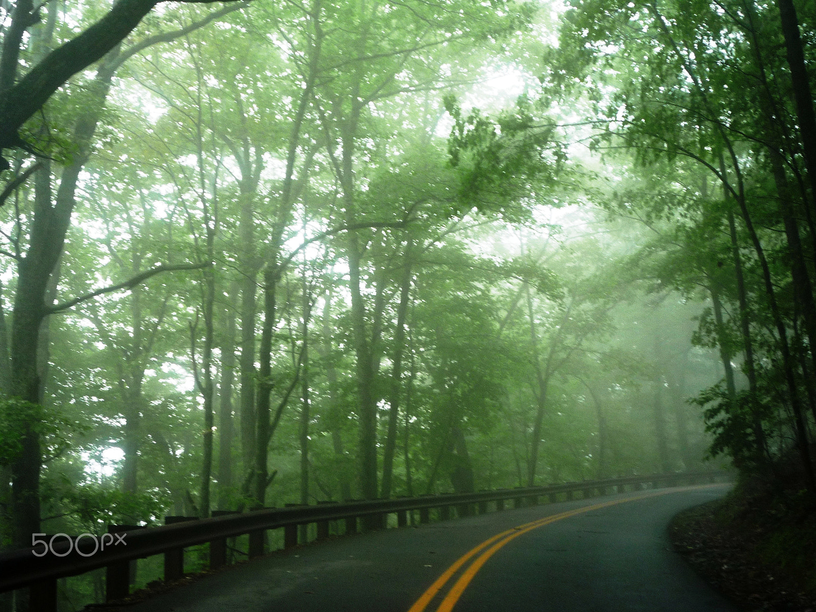 Panasonic DMC-LZ8 sample photo. Morrow mountain state park nc () photography