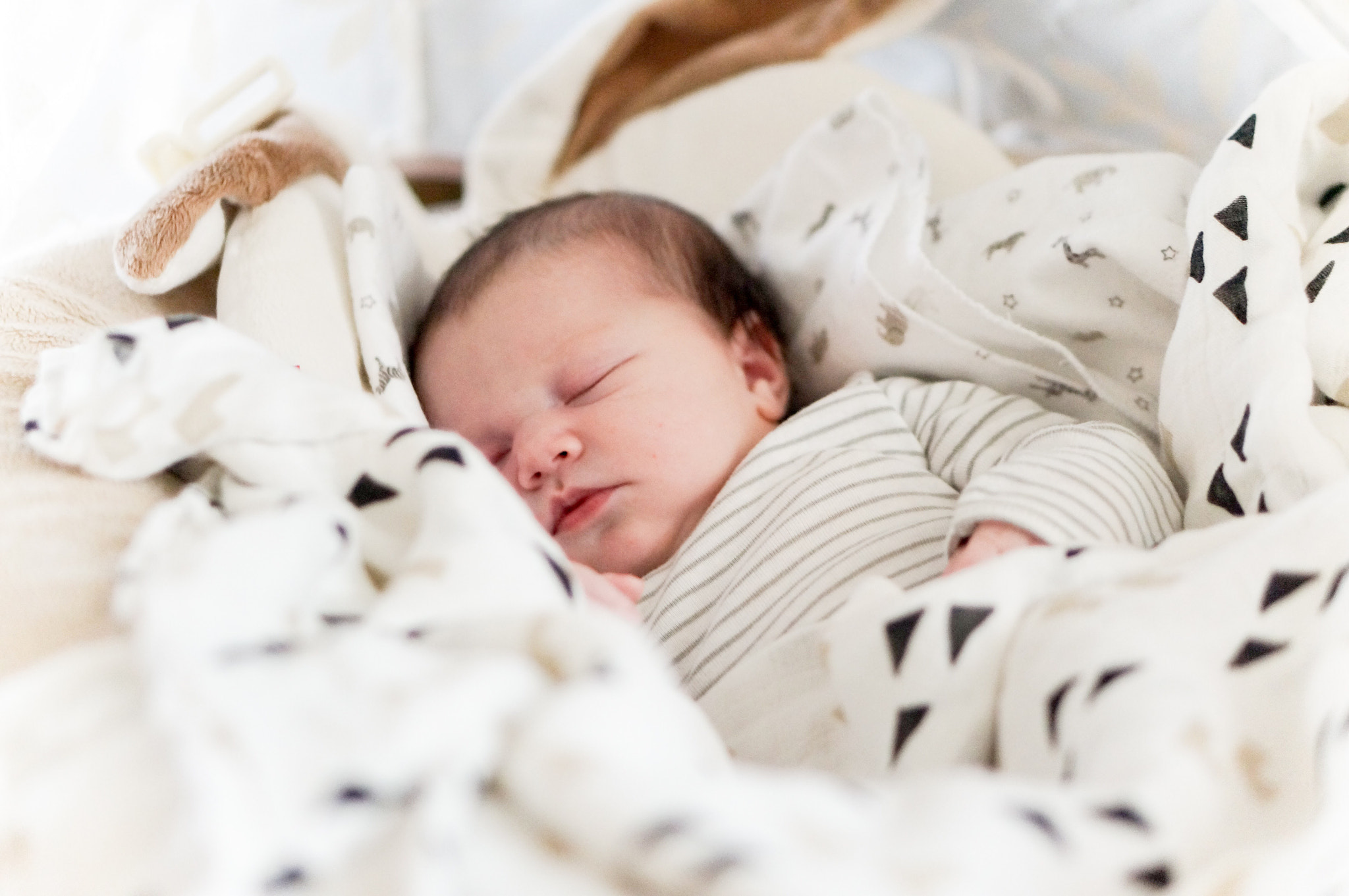 Sony Alpha NEX-3N + E 50mm F1.8 OSS sample photo. Naptime photography