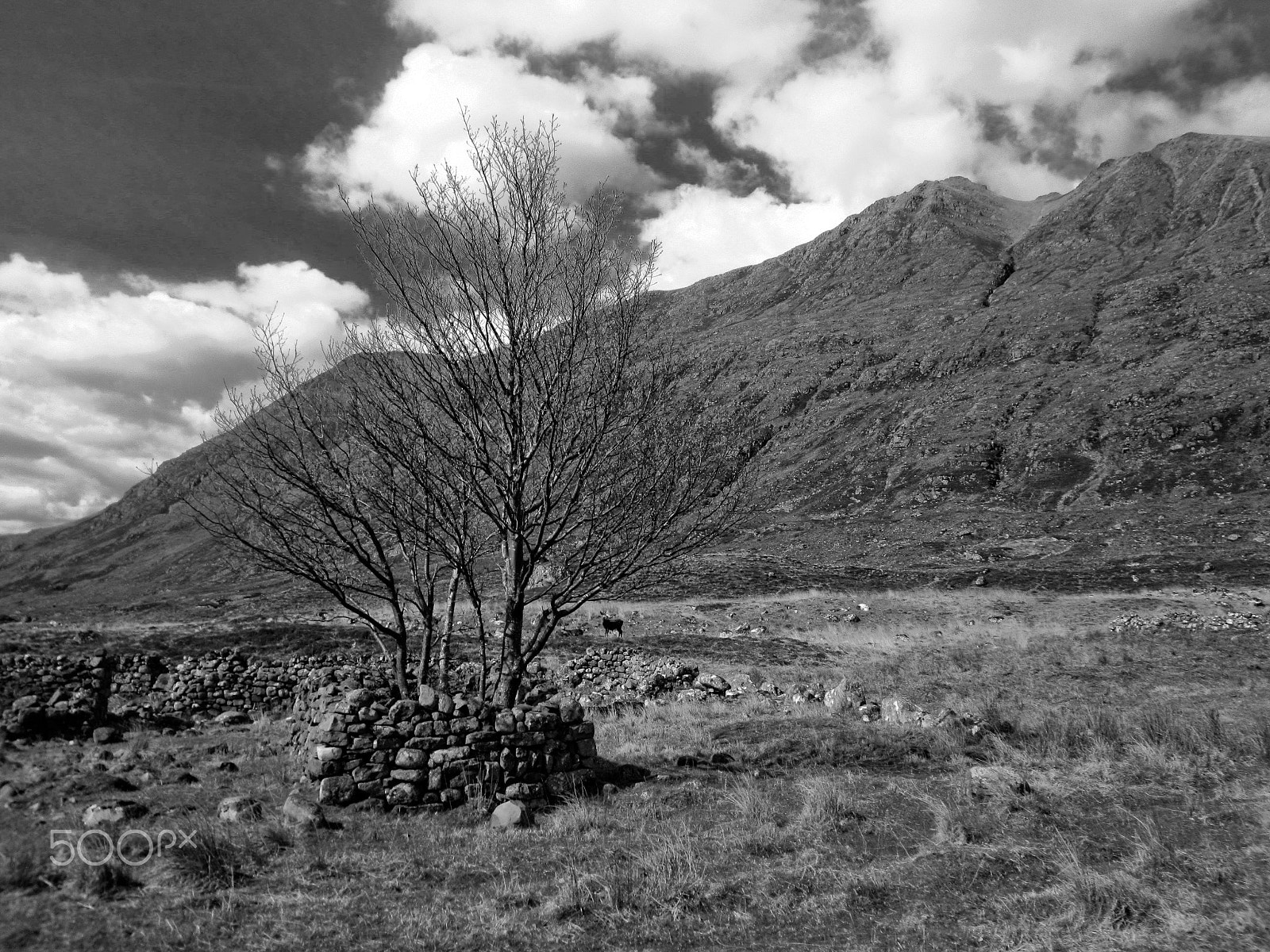 Canon PowerShot A3300 IS sample photo. Mono an teallach photography