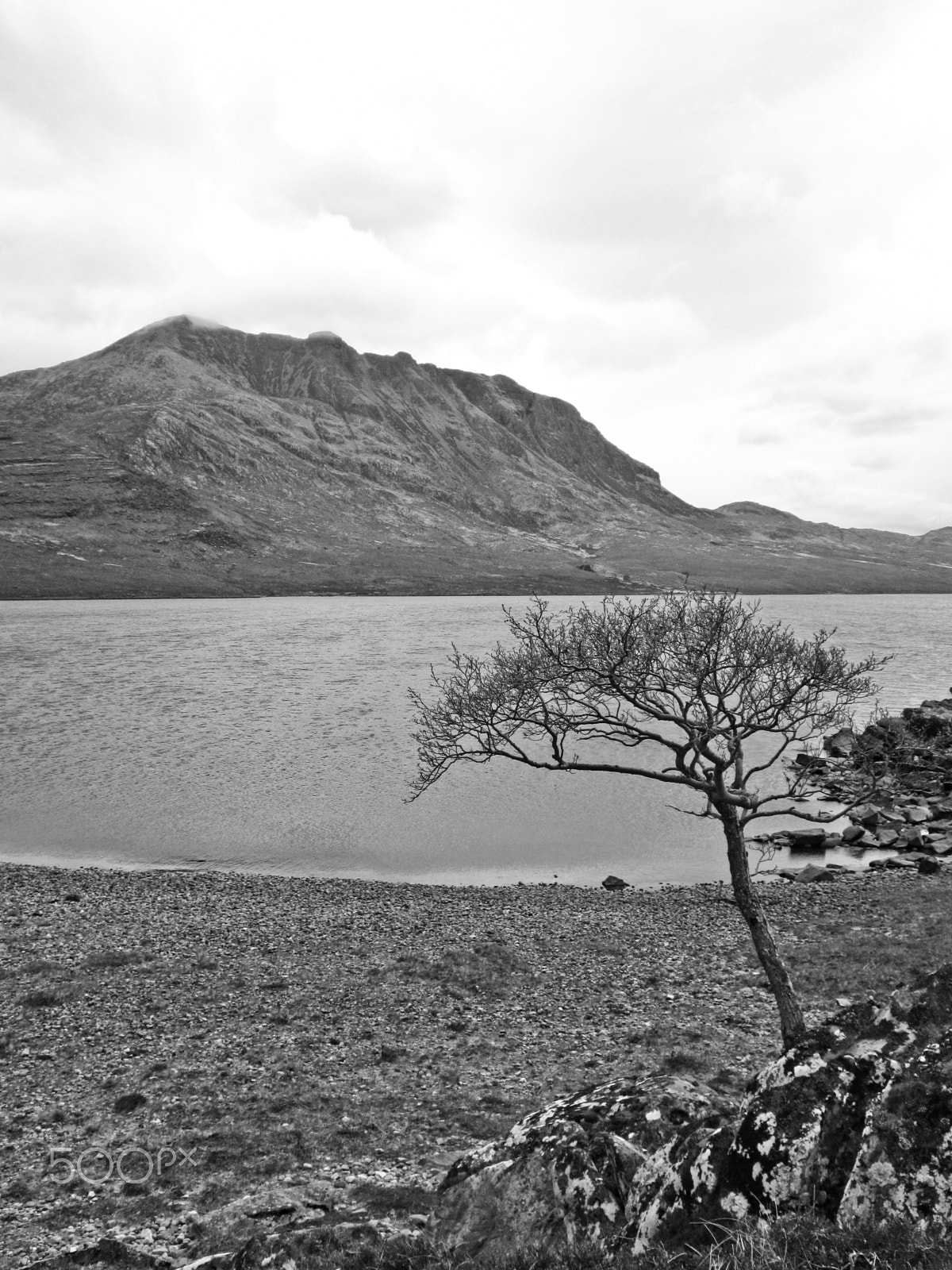 Canon PowerShot A3300 IS sample photo. Tree and shore of loch na sealga photography