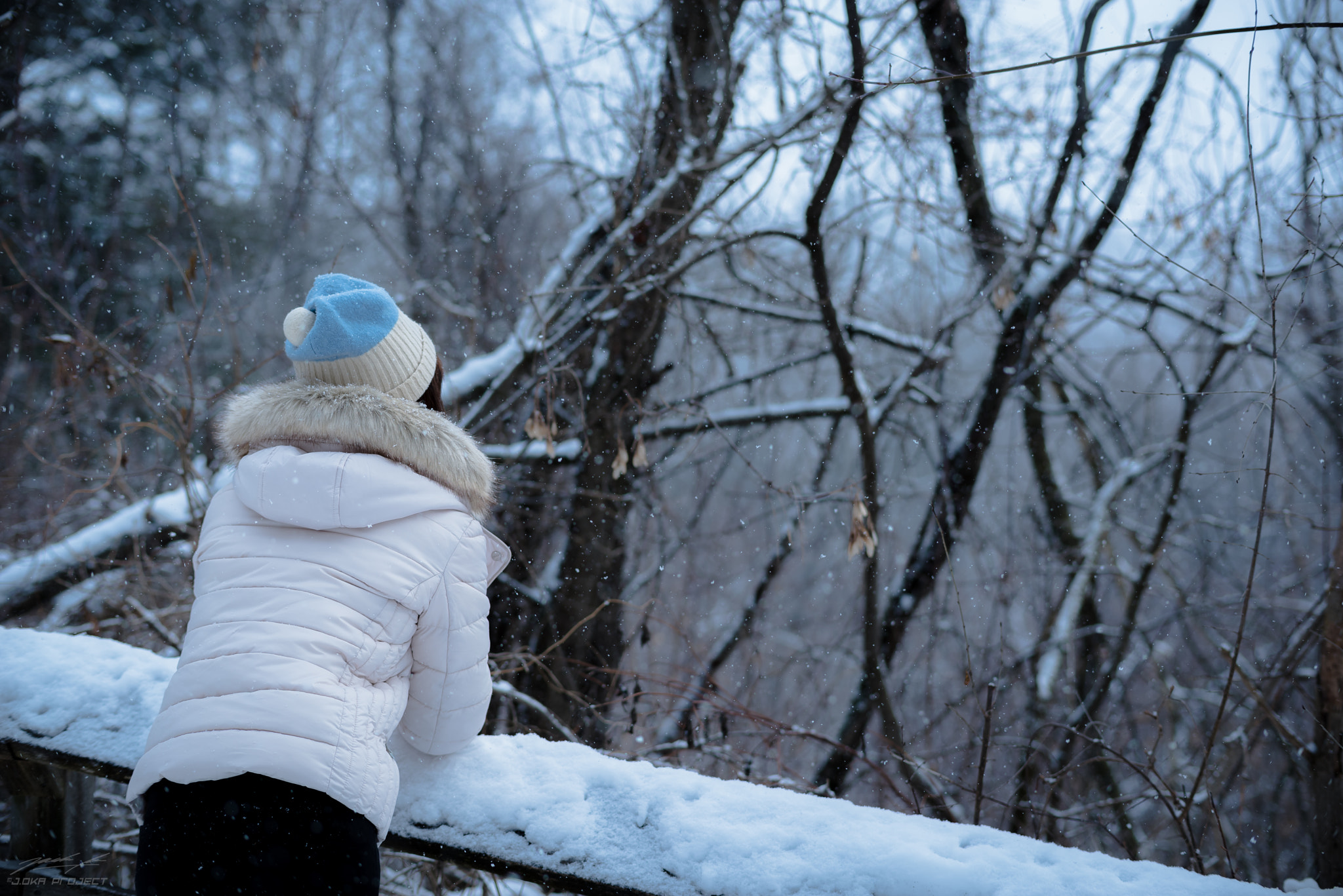 Pentax K-1 sample photo. Winter mood photography