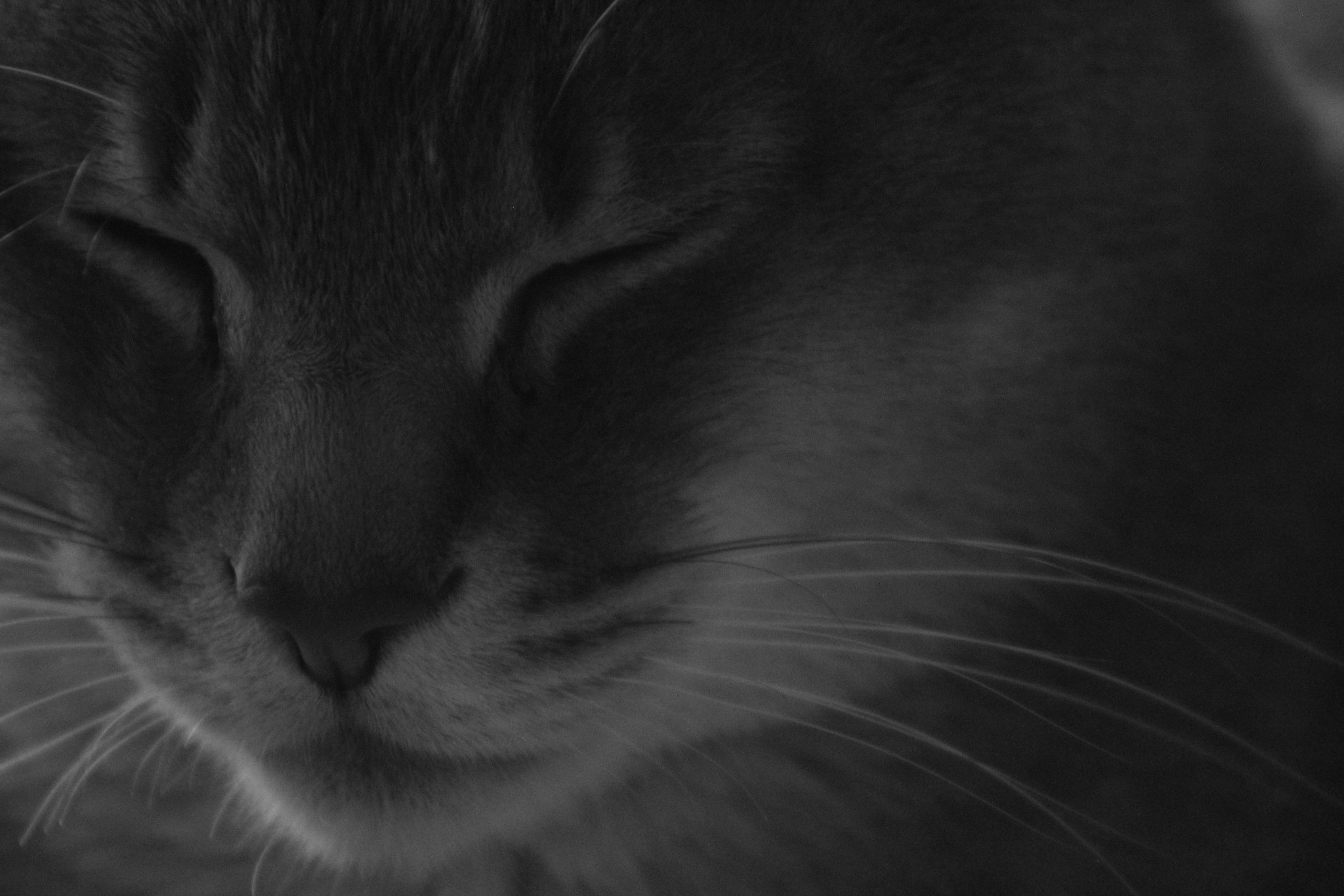 Canon EF 75-300mm f/4-5.6 USM sample photo. Img photography