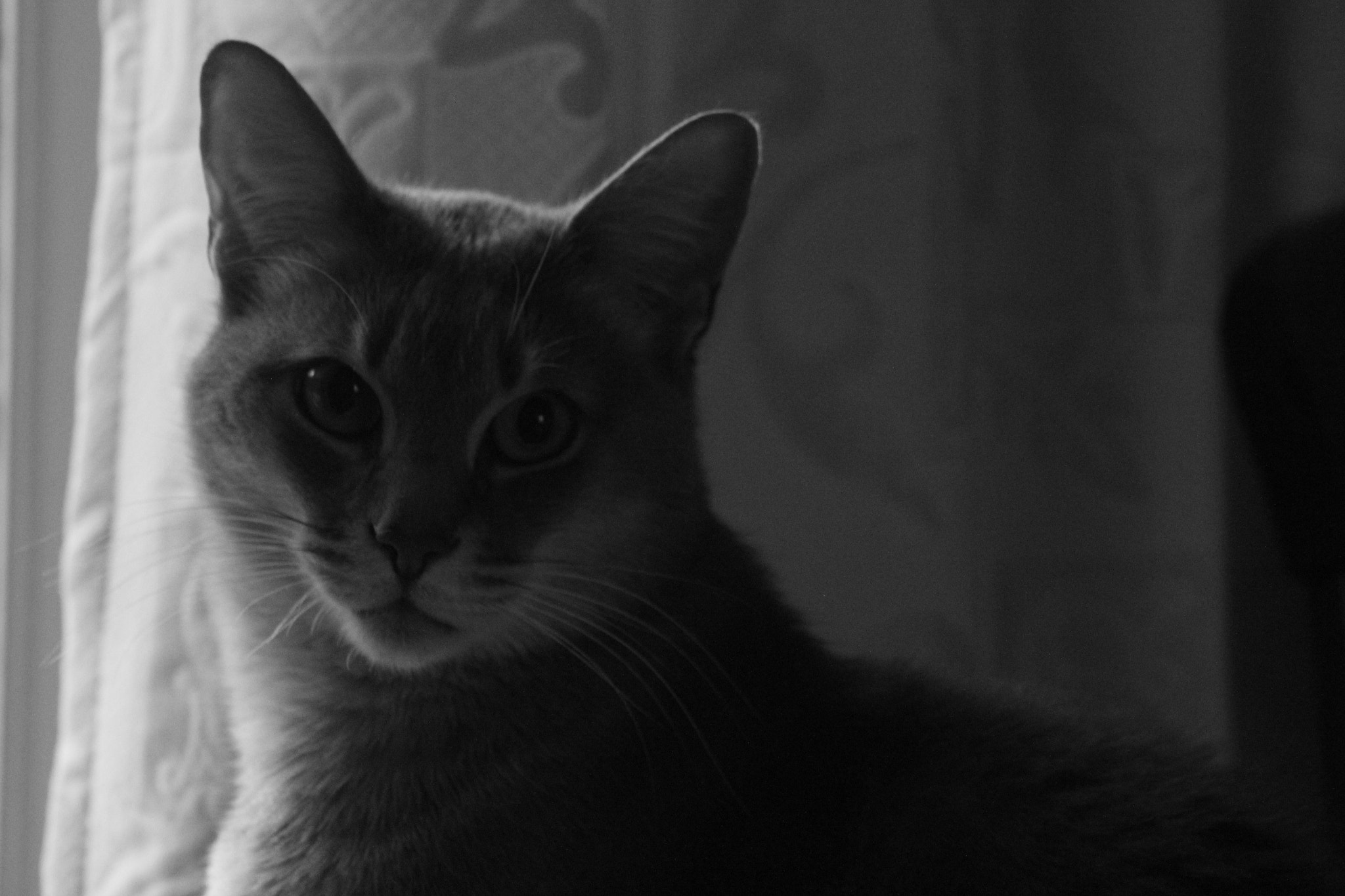 Canon EF 75-300mm f/4-5.6 USM sample photo. Img photography
