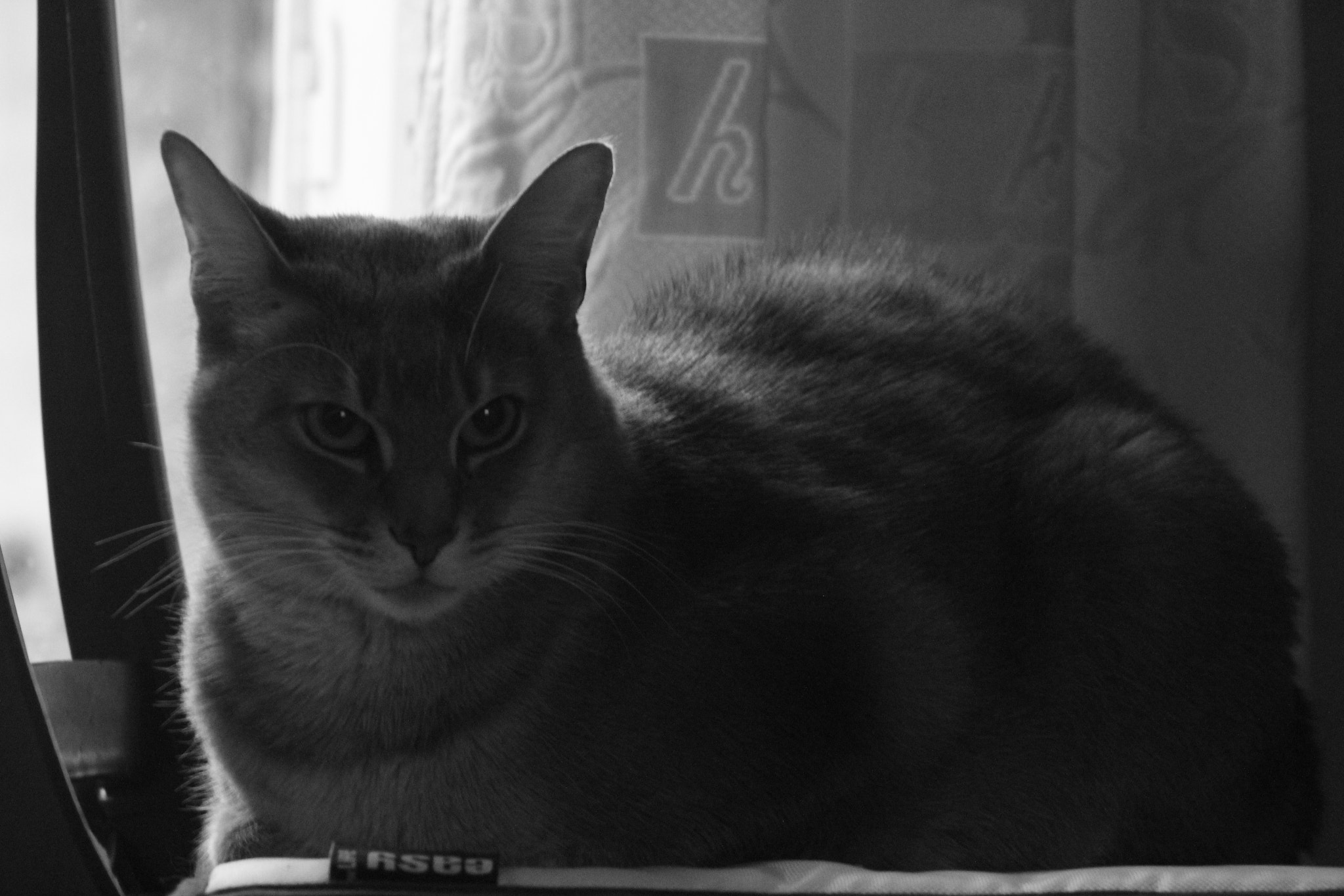 Canon EF 75-300mm f/4-5.6 USM sample photo. Img photography