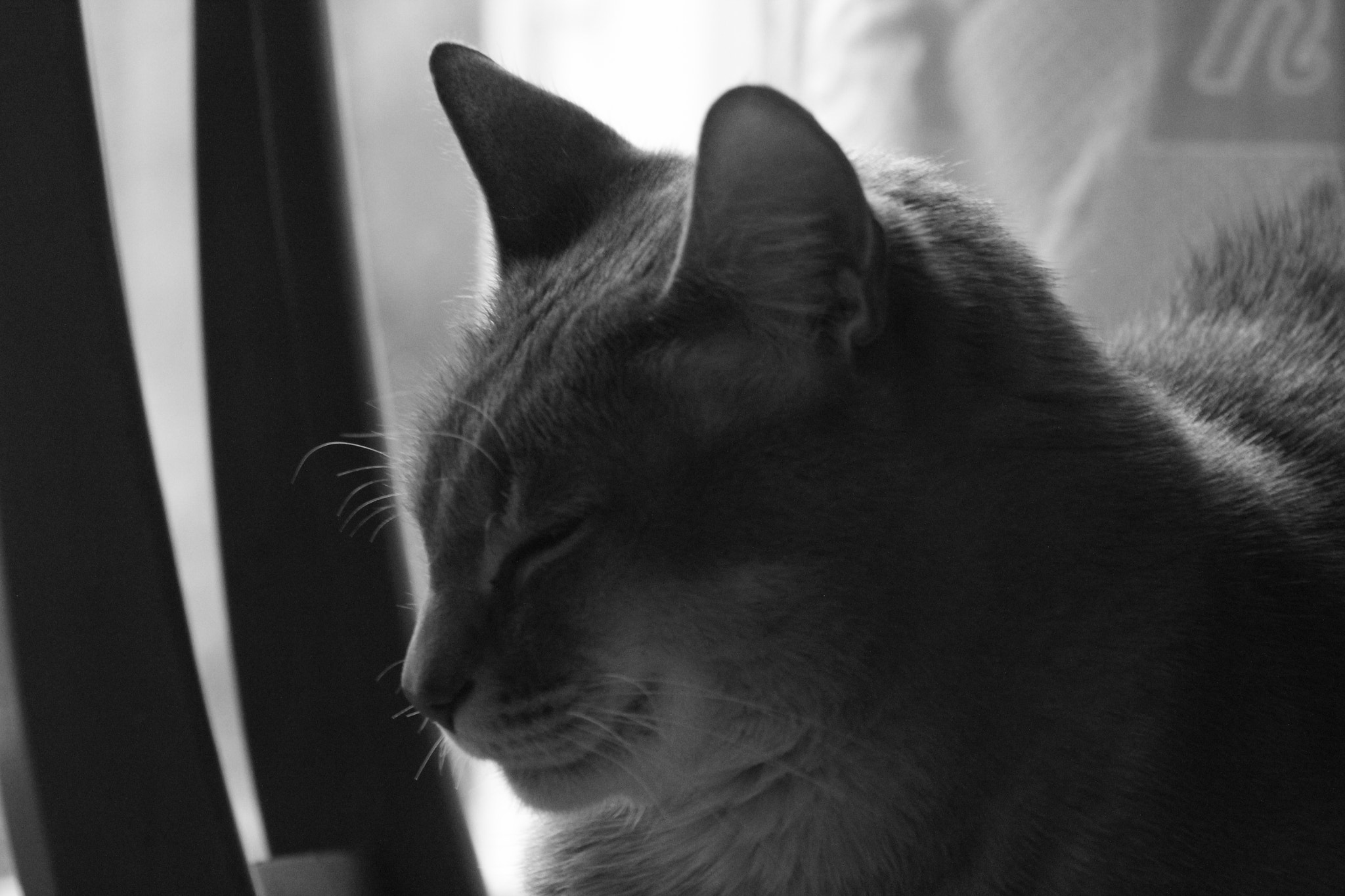 Canon EF 75-300mm f/4-5.6 USM sample photo. Img photography