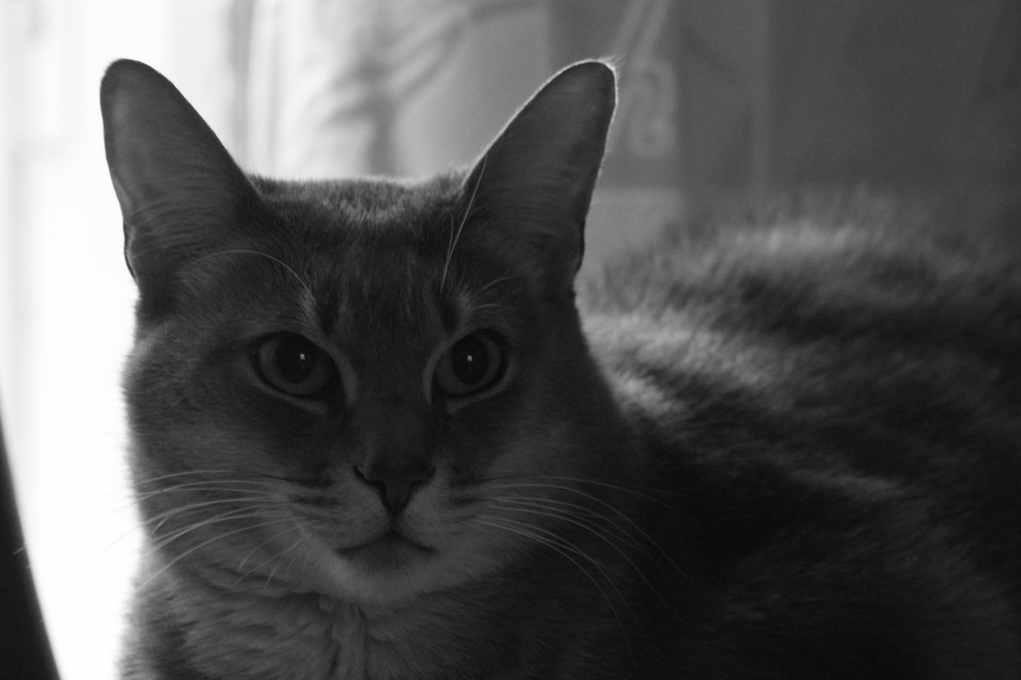 Canon EF 75-300mm f/4-5.6 USM sample photo. Img photography