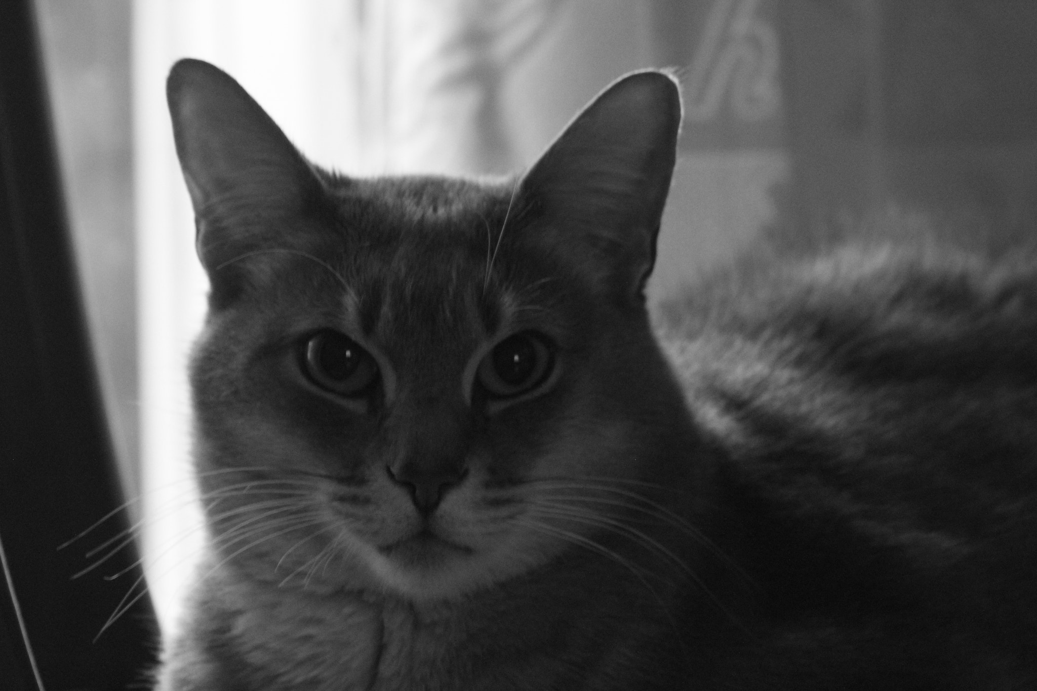 Canon EF 75-300mm f/4-5.6 USM sample photo. Img photography
