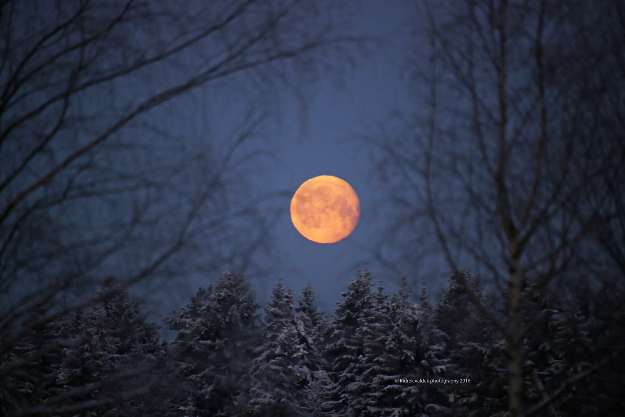 Cold winter Moon I