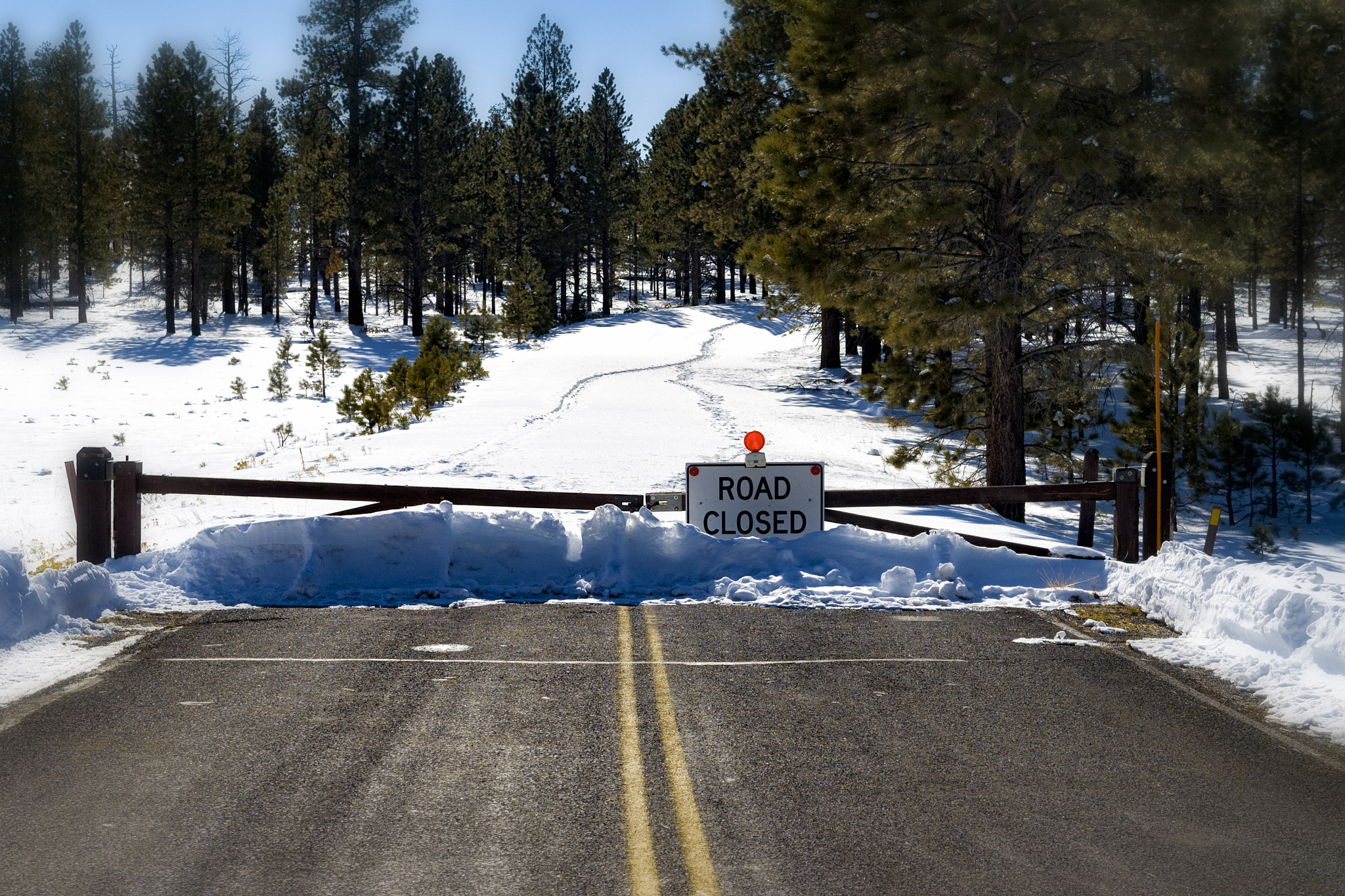 Nikon D300 sample photo. Road closed photography
