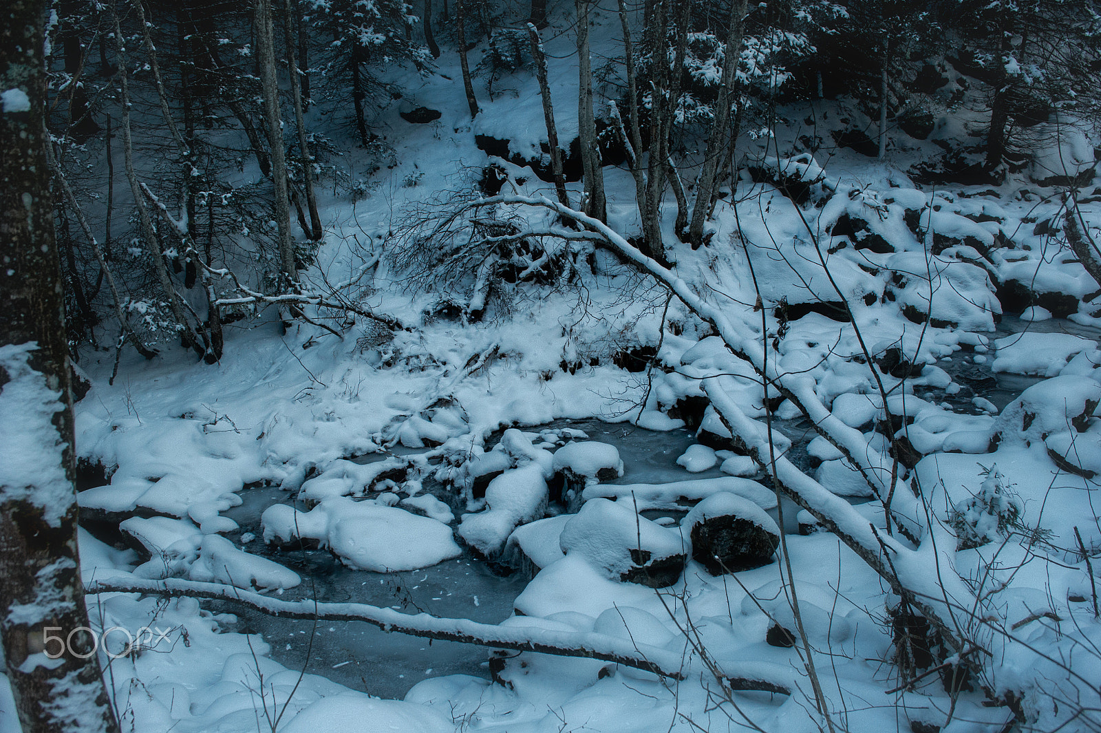 Nikon D3S + AF Zoom-Nikkor 35-70mm f/2.8D sample photo. Wnterland photography