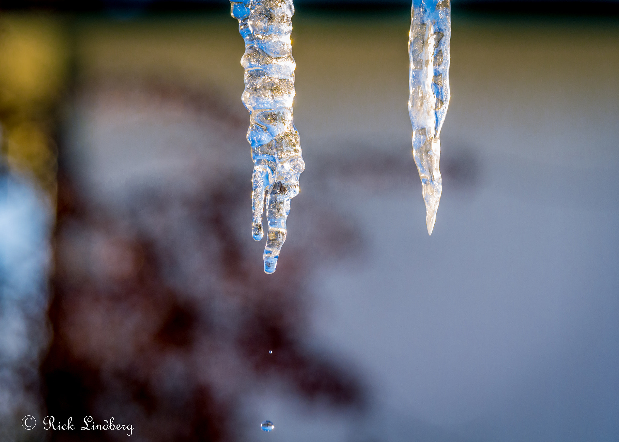 Pentax K-5 sample photo. Drip photography