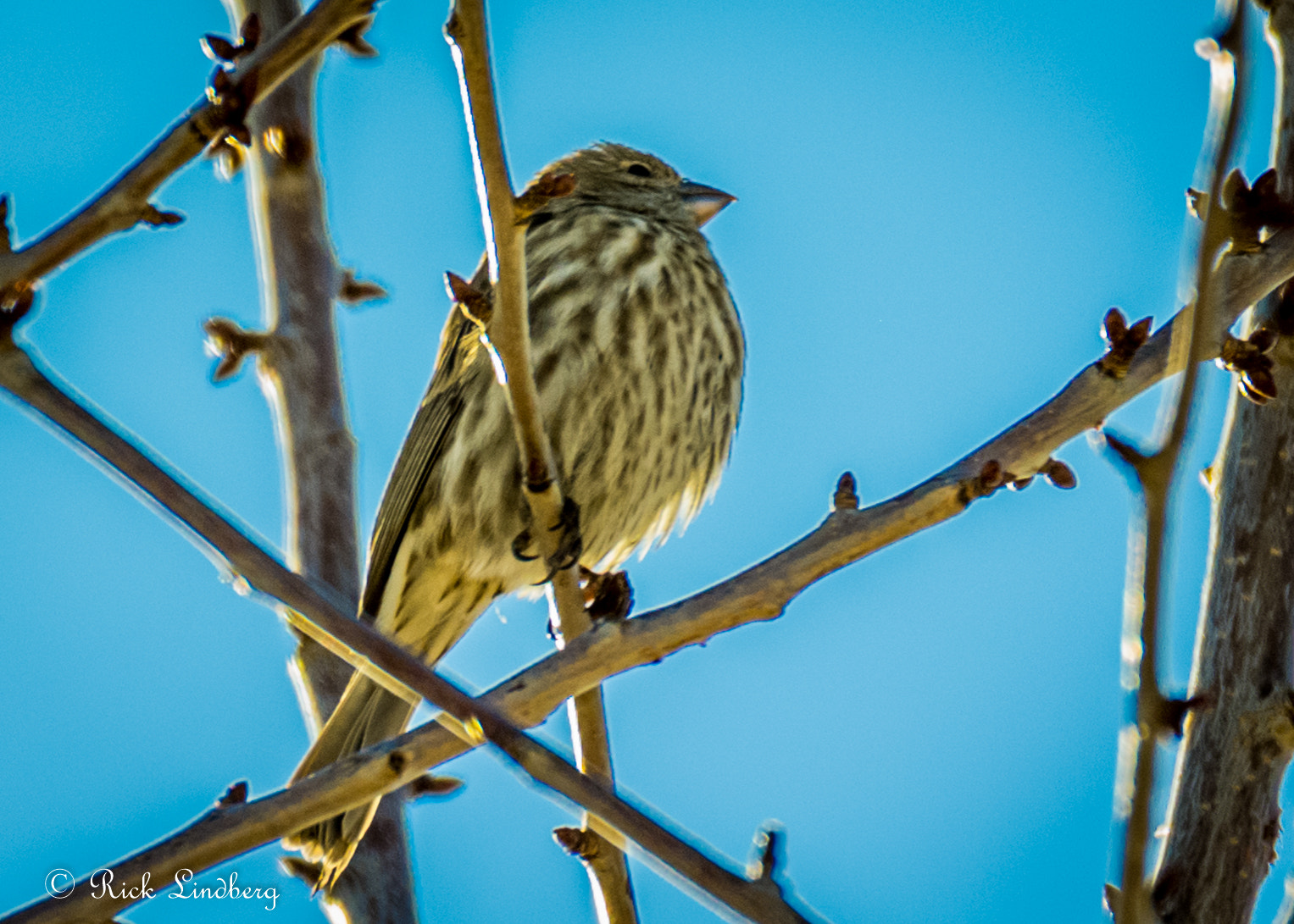 Pentax K-5 sample photo. Jack sparrow photography