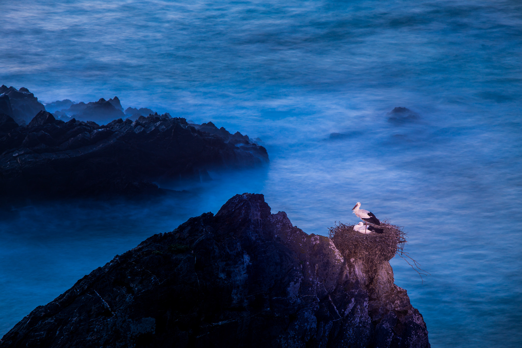 Canon EF 70-200mm F2.8L IS USM sample photo. Cigüeñas en cabo sardao 4 photography