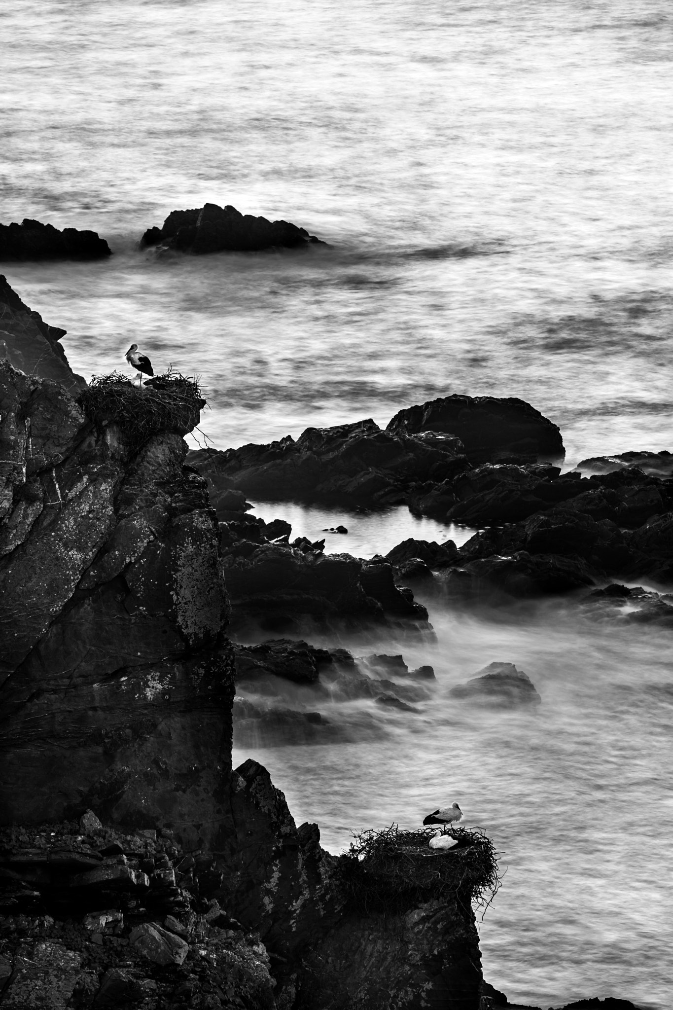 Canon EF 70-200mm F2.8L IS USM sample photo. Cigüeñas en cabo sardao 3 photography