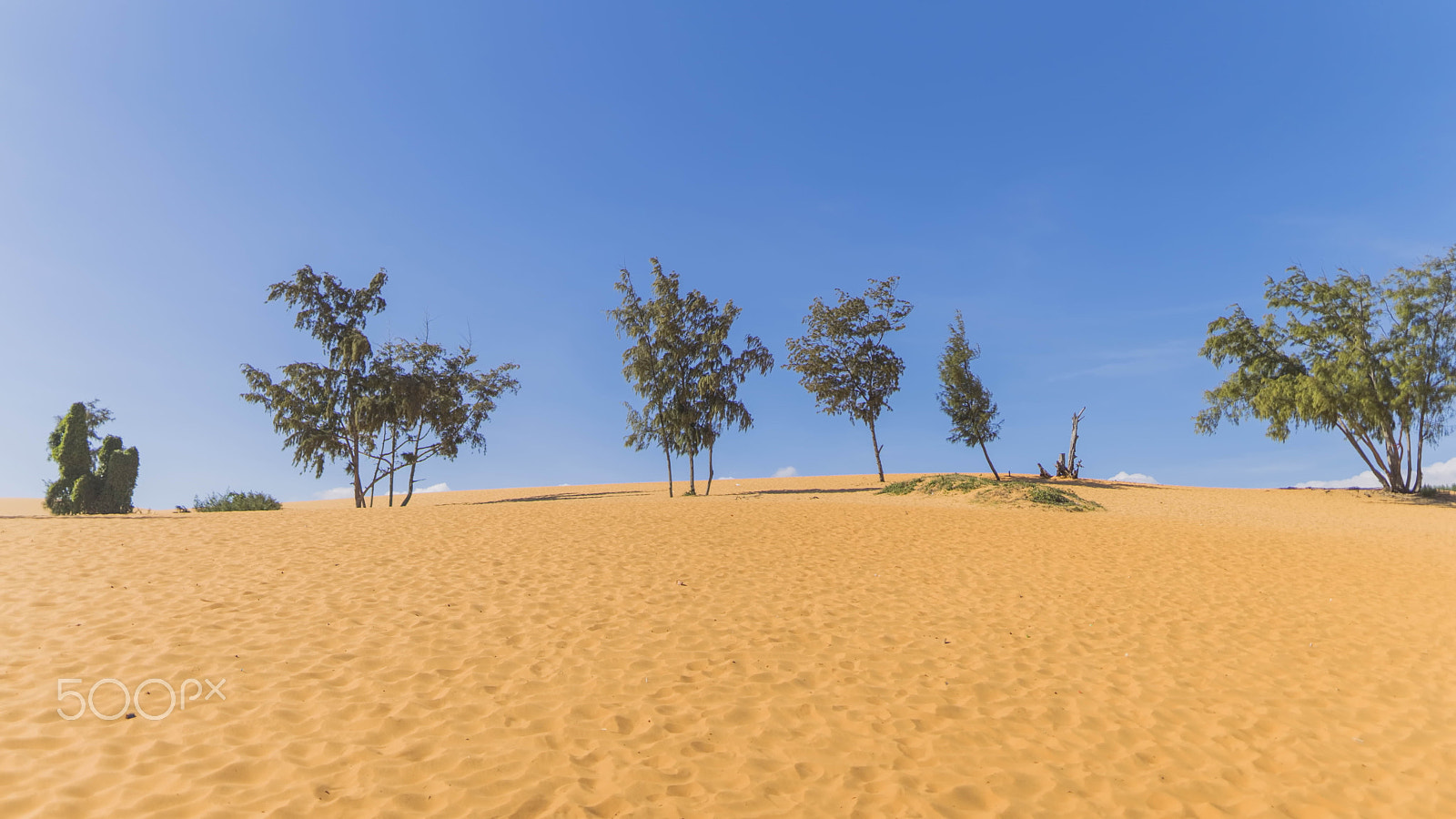 Sigma 24mm F1.4 DG HSM Art sample photo. Mui ne desert photography