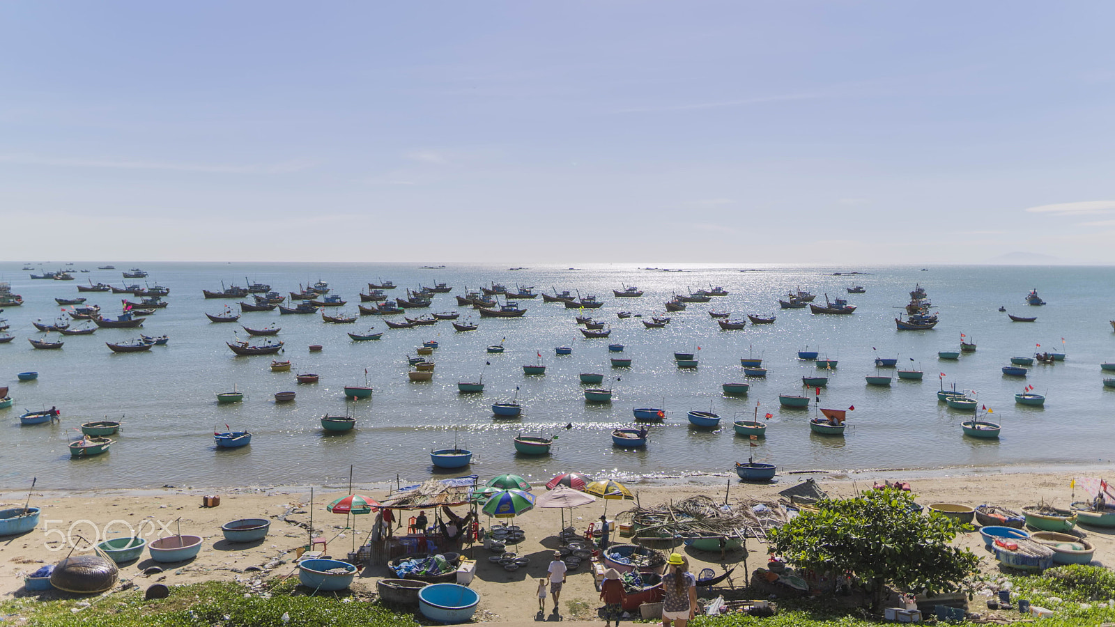 Sigma 24mm F1.4 DG HSM Art sample photo. Ships photography