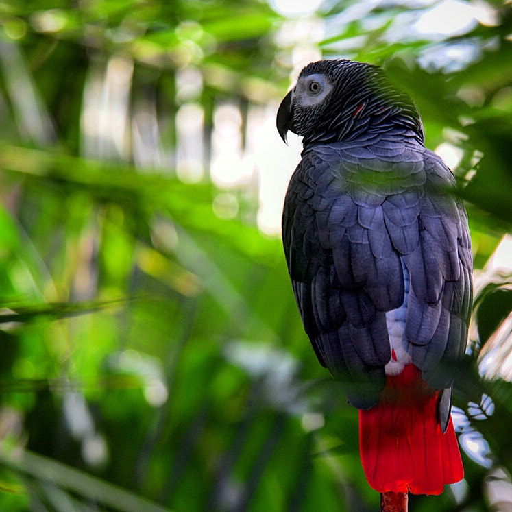 Nikon D300S sample photo. Attitude! ok! fine! take the shot and leave me alone! photography