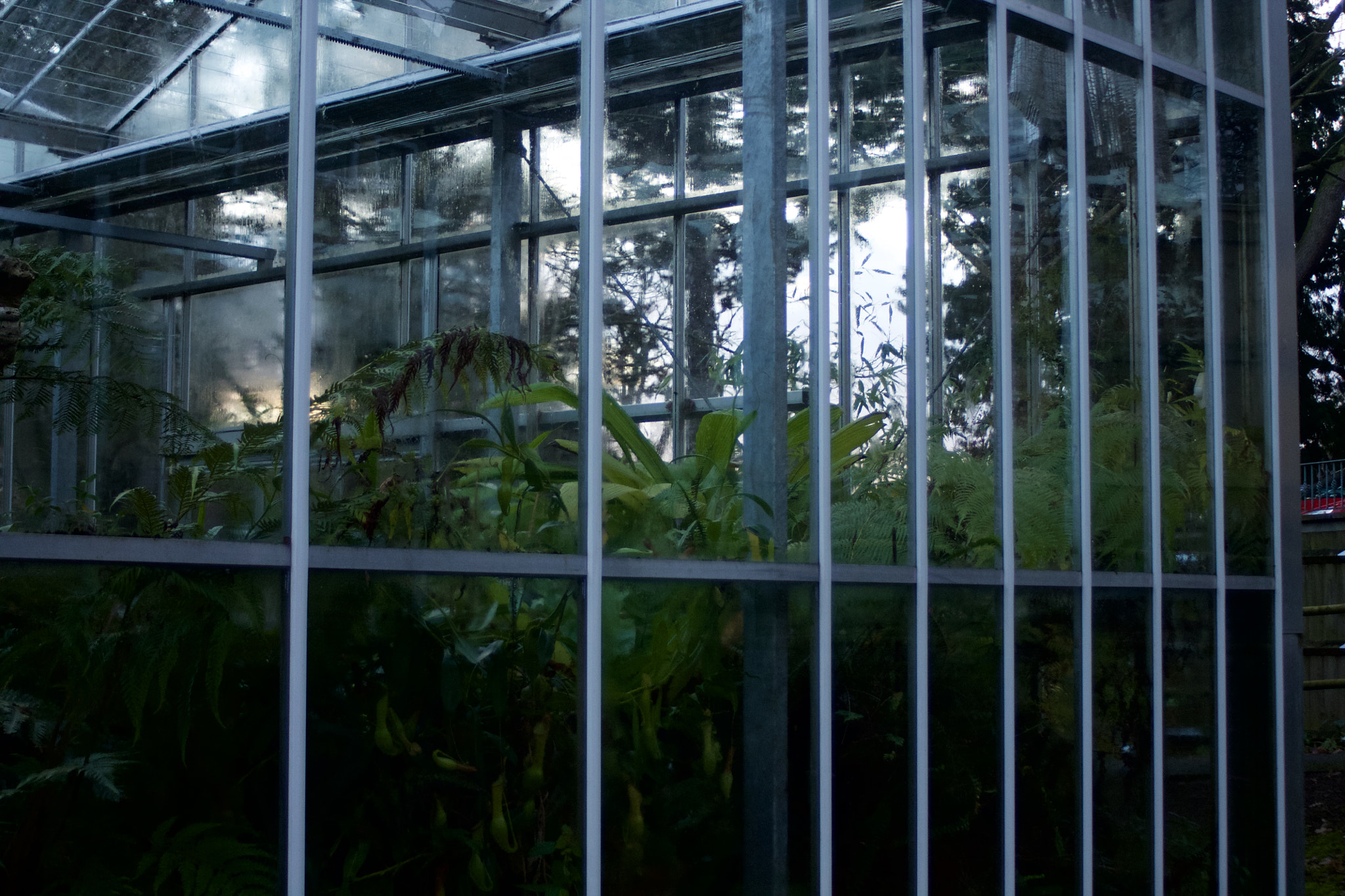 Canon EF 35-80mm f/4-5.6 sample photo. Greenhouse photography