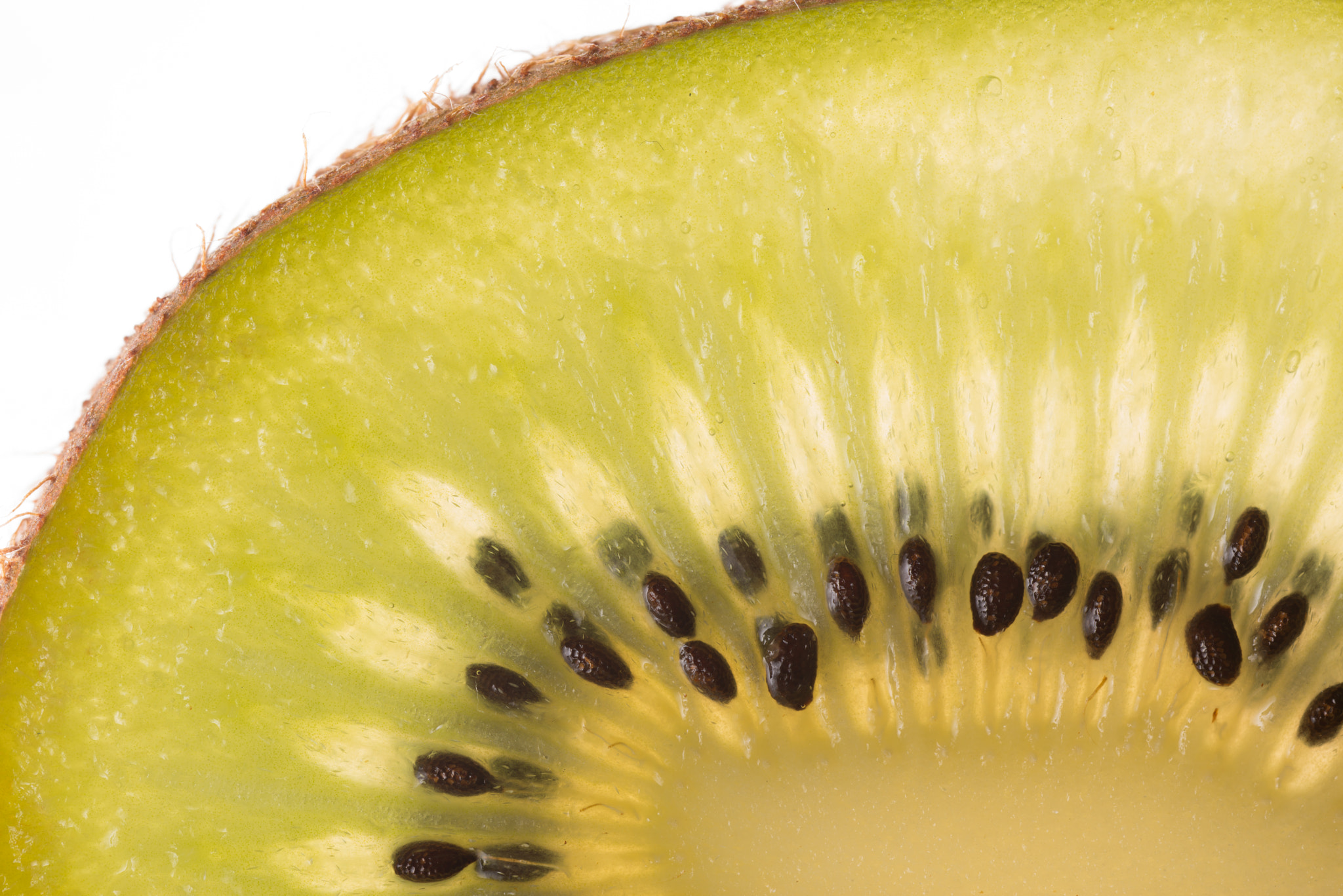 Sigma 150mm F2.8 EX DG OS Macro HSM sample photo. Kiwifruit photography