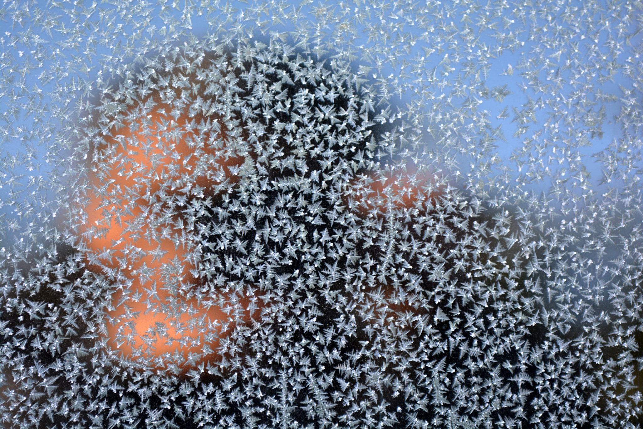 Nikon AF-S Micro-Nikkor 105mm F2.8G IF-ED VR sample photo. In the star world: photography