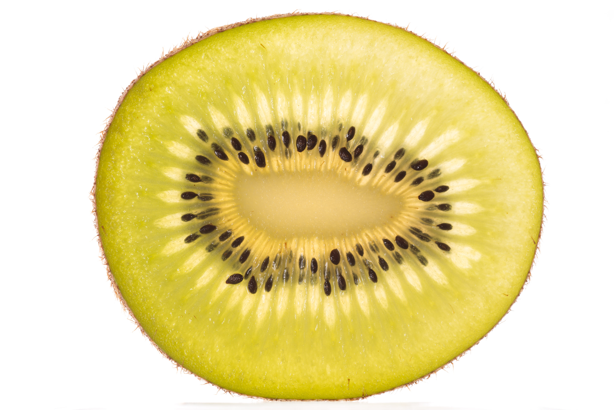 Sigma 150mm F2.8 EX DG OS Macro HSM sample photo. Kiwifruit photography
