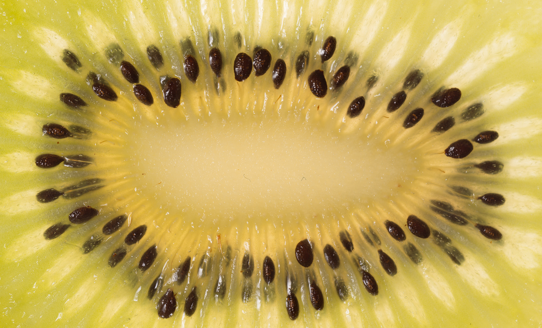 Nikon D800 + Sigma 150mm F2.8 EX DG OS Macro HSM sample photo. Kiwifruit photography