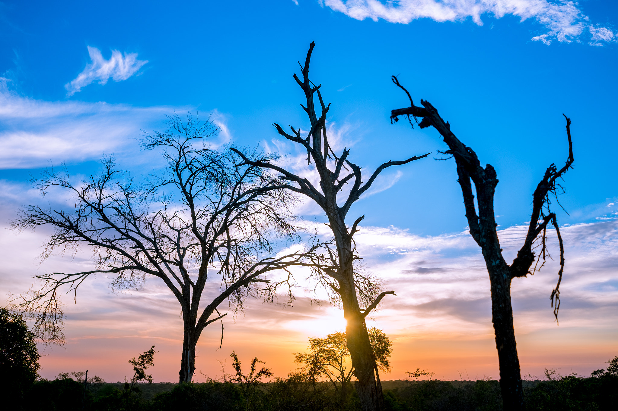 Fujifilm X-Pro1 + Fujifilm XF 27mm F2.8 sample photo. Djuma private game reserve photography