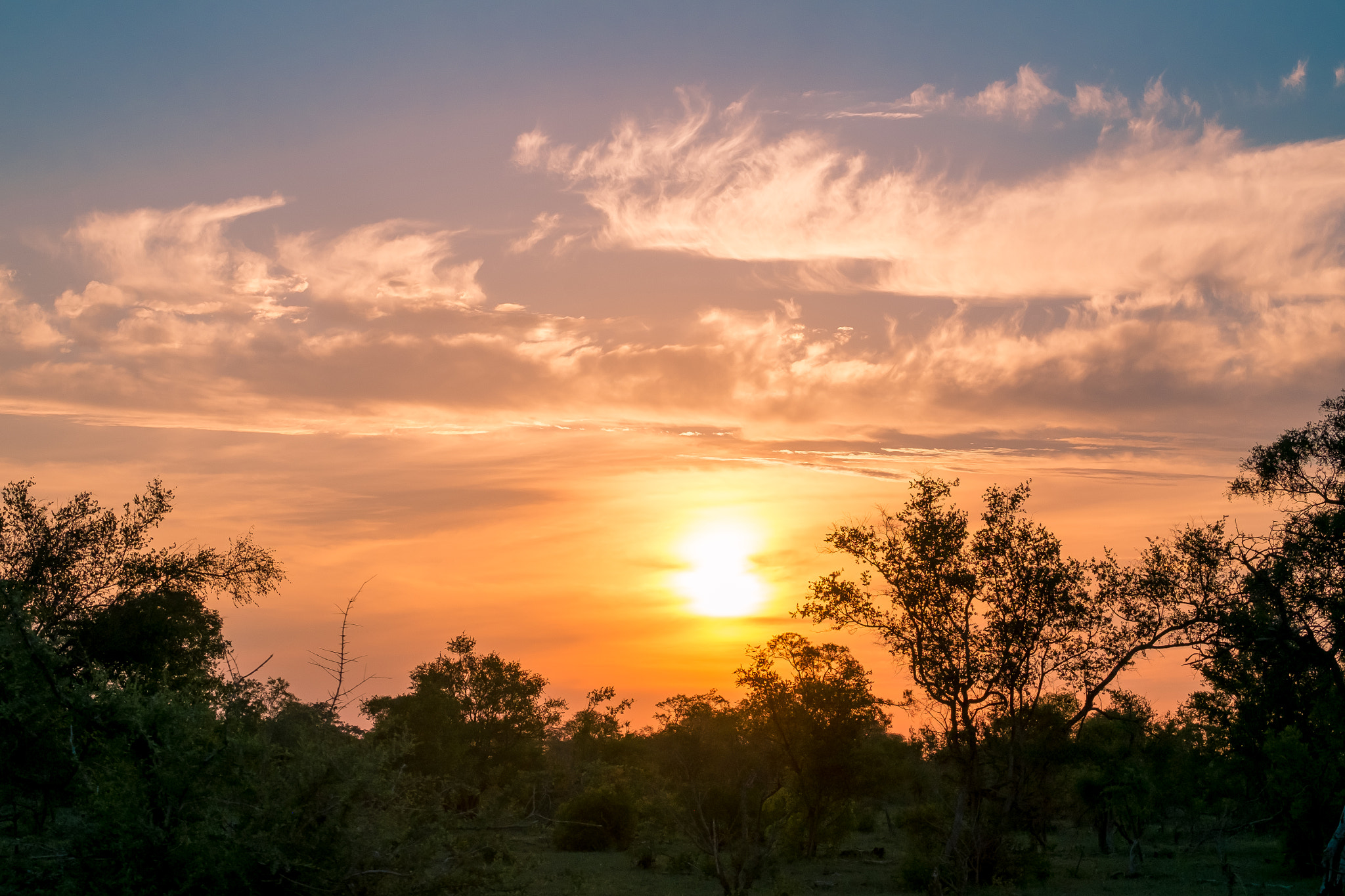 Fujifilm X-Pro1 + Fujifilm XF 55-200mm F3.5-4.8 R LM OIS sample photo. Djuma private game reserve photography