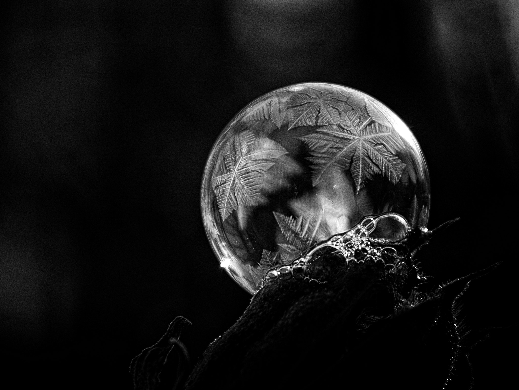 Nikon D5200 + AF Nikkor 24mm f/2.8 sample photo. Frozen bubble photography