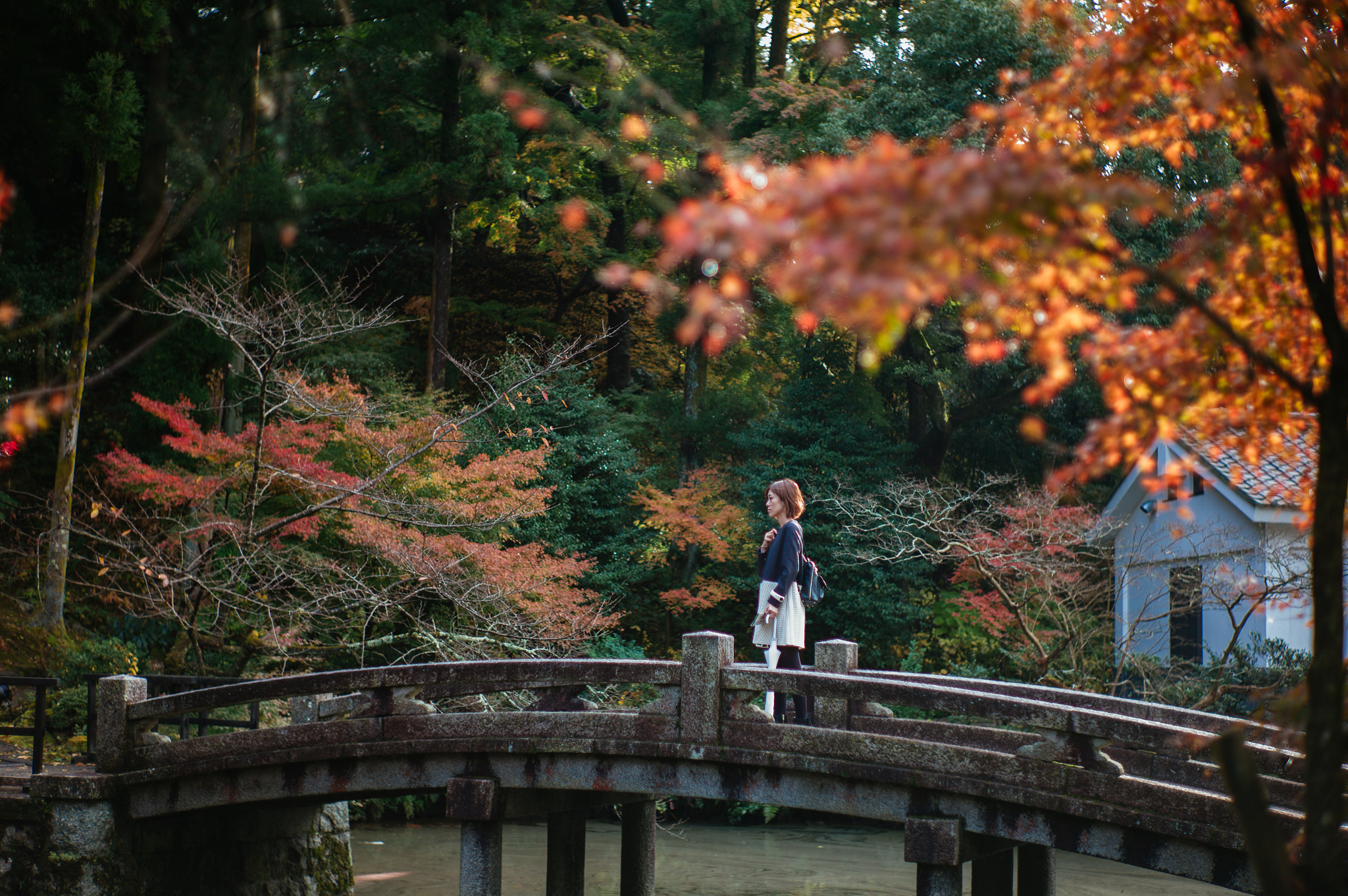 Leica M9 + Summilux-M 50mm f/1.4 (II) sample photo