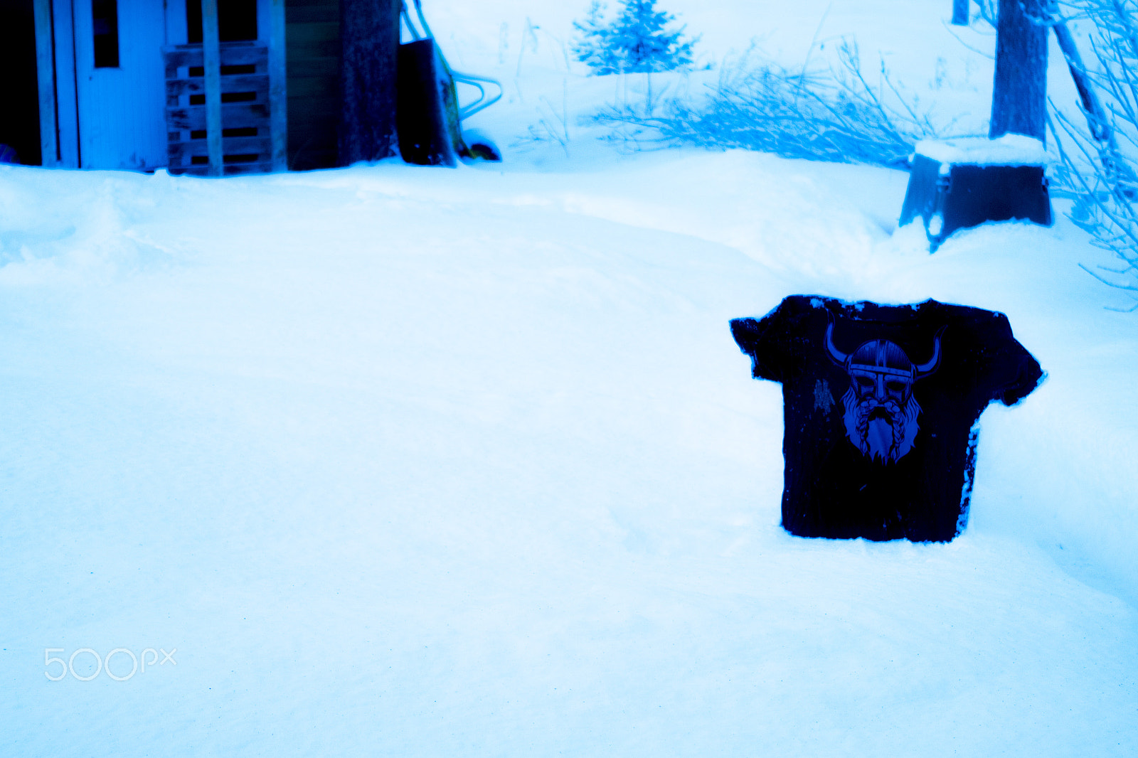Pentax K-S1 sample photo. Viking photography