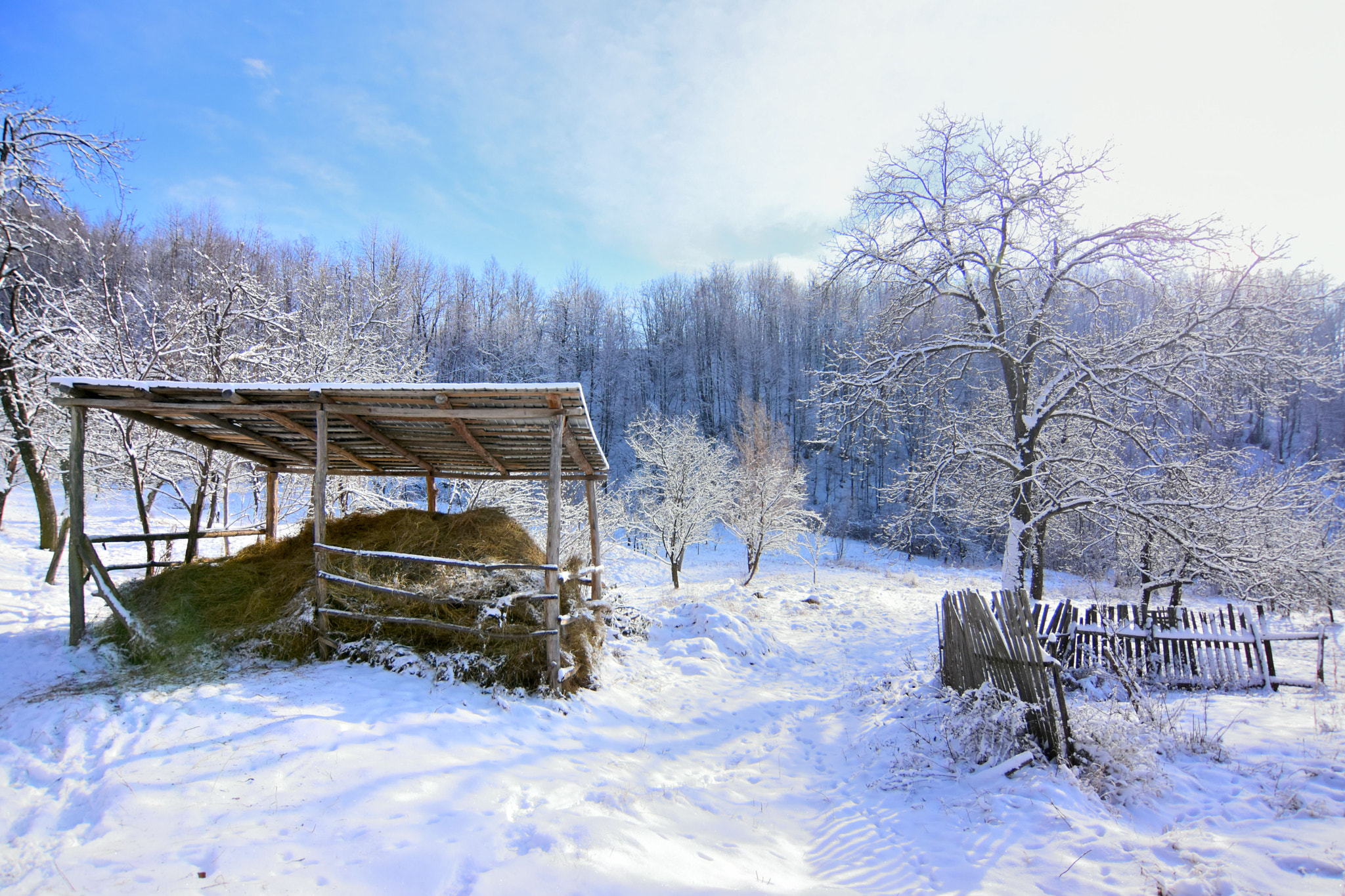 Nikon D7200 sample photo. First snow in a small romanian village - iii photography