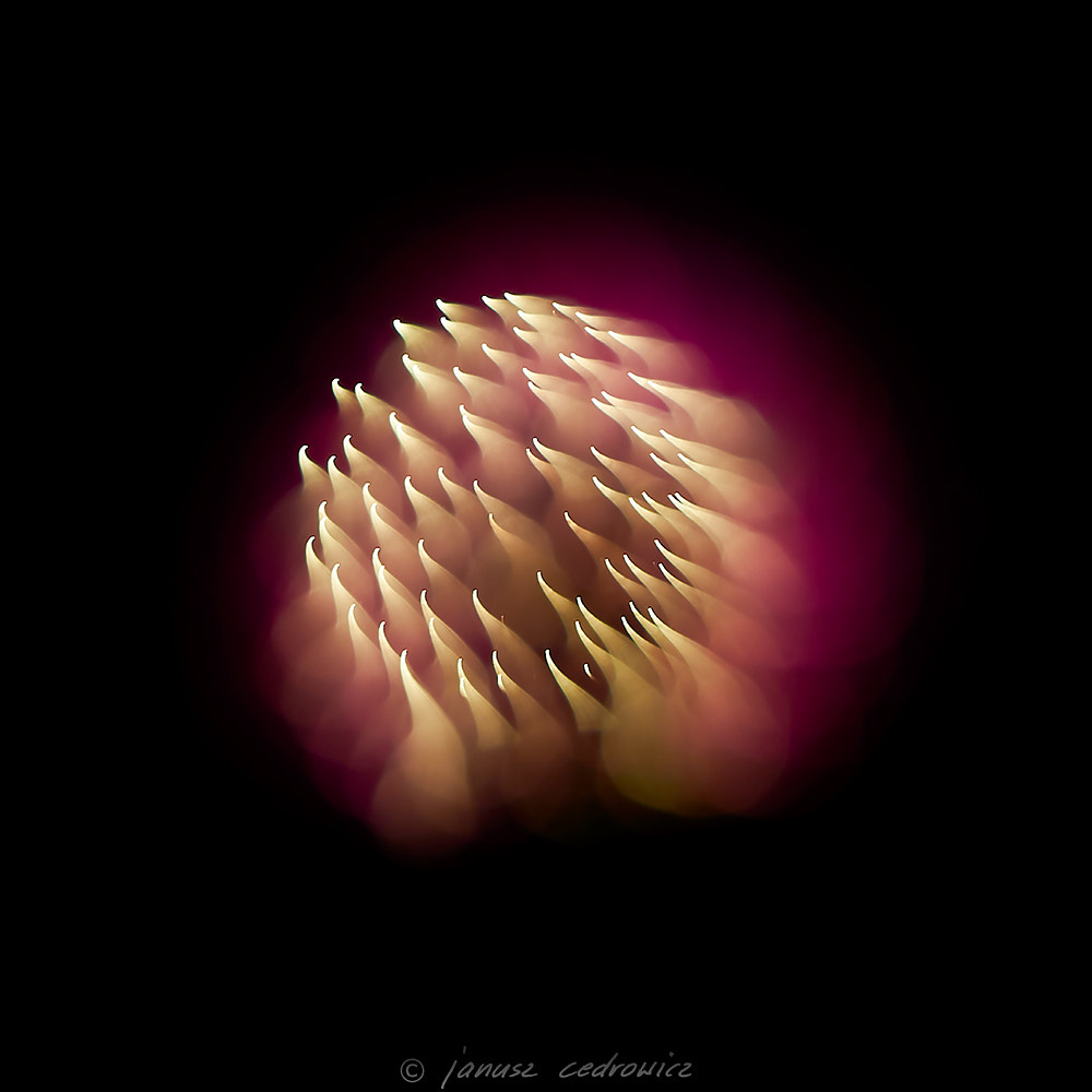 Nikon AF-S Nikkor 24-70mm F2.8G ED sample photo. Fireworxx photography