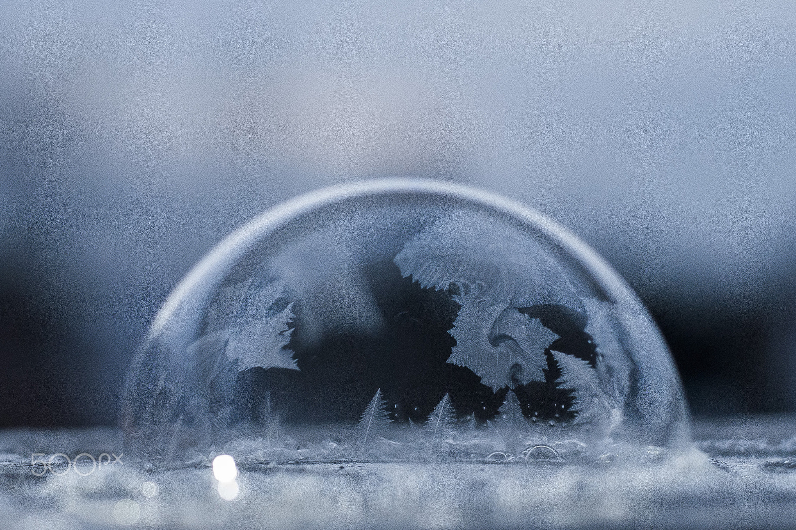 Nikon D3000 + Nikon AF-S Nikkor 50mm F1.8G sample photo. Frozen bubble photography