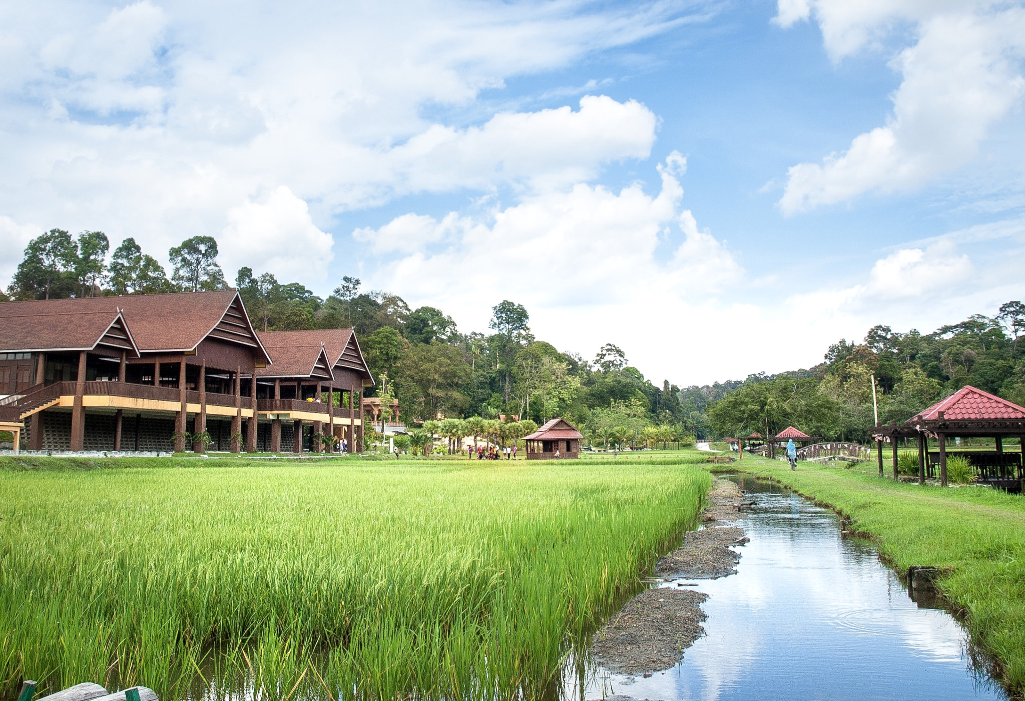 Olympus E-520 (EVOLT E-520) + OLYMPUS 14-42mm Lens sample photo. A traditional view of malaysia. photography