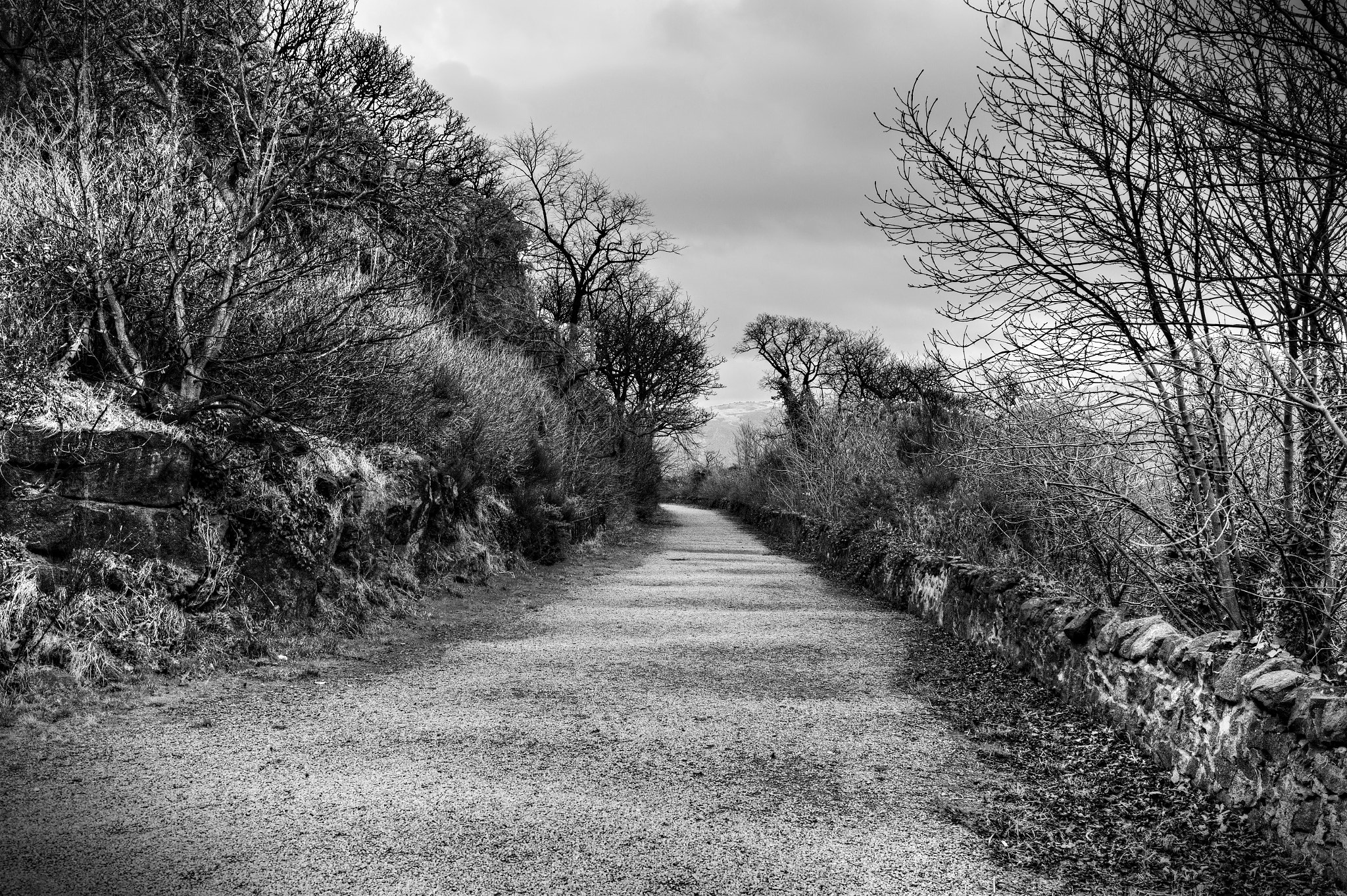 Leica M9 + Summicron-M 35mm f/2 (IV) sample photo. The beginning of a shrouded passage photography