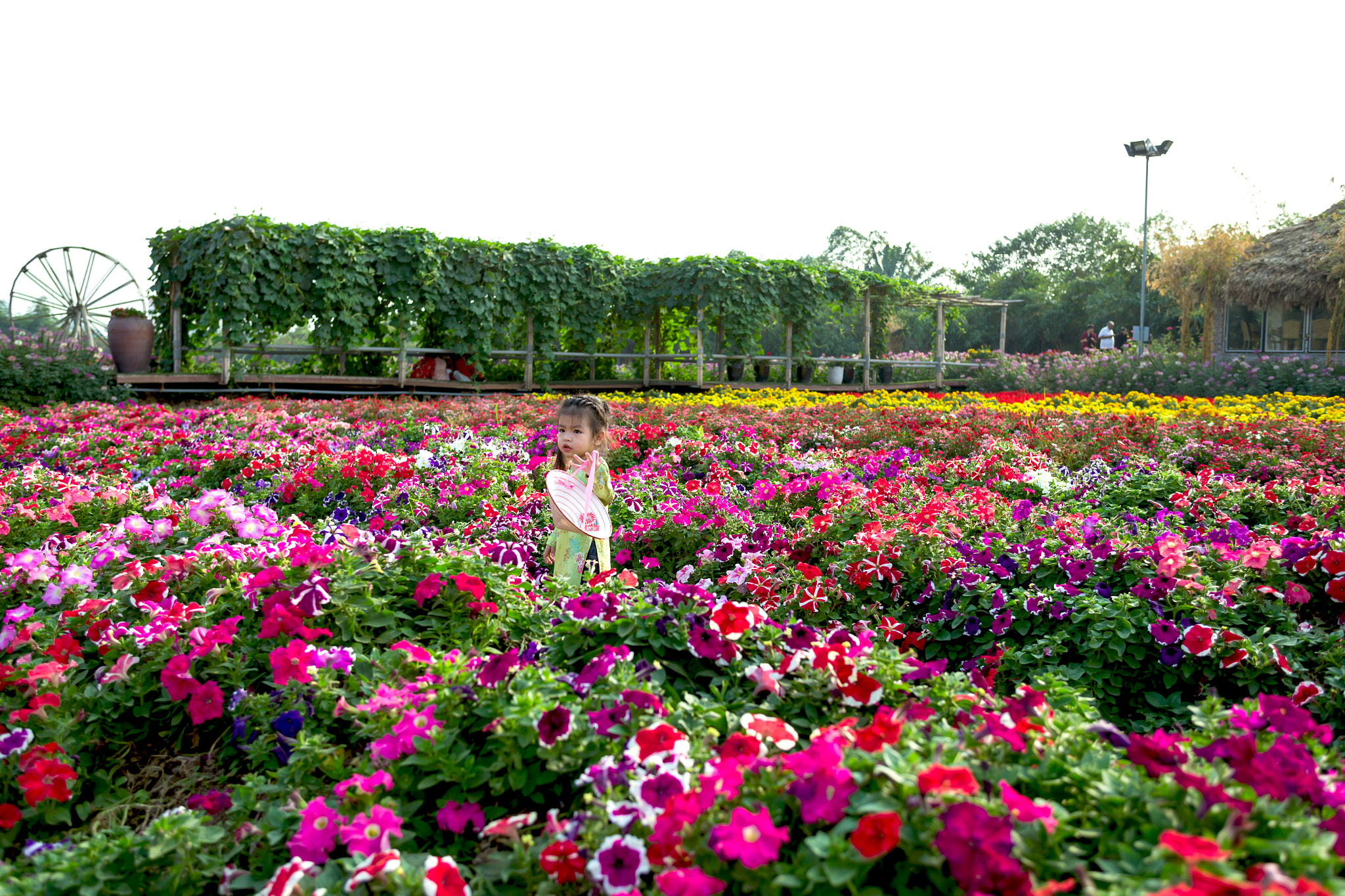 Canon EOS 6D + EF28-70mm f/2.8L USM sample photo. Mg photography