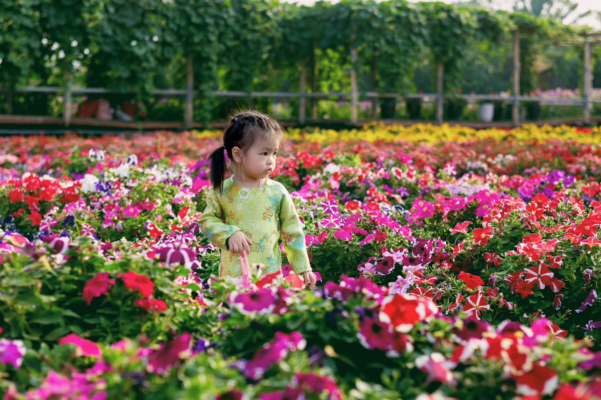 Canon EOS 6D + EF28-70mm f/2.8L USM sample photo. Mg photography