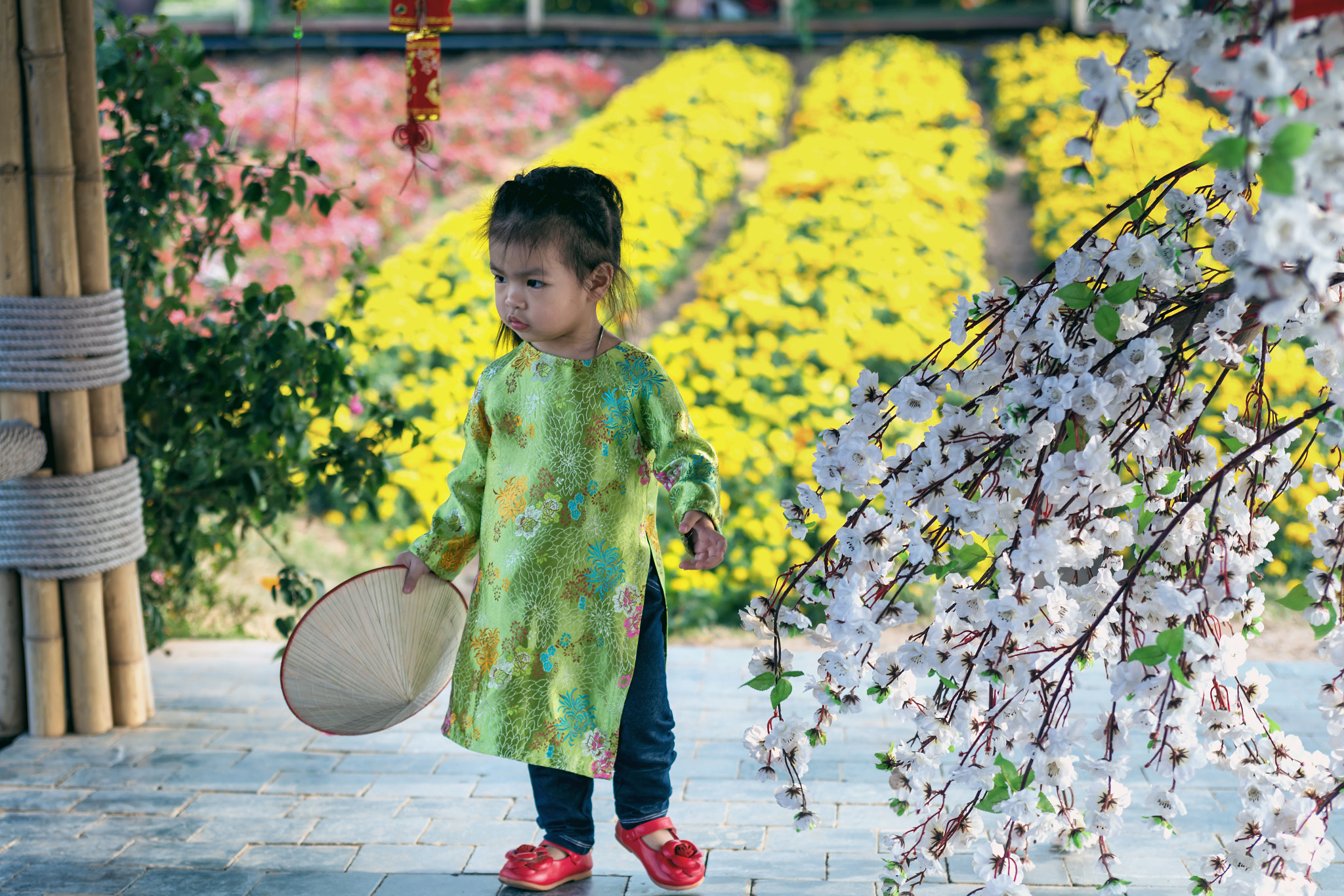 Canon EOS 6D + EF28-70mm f/2.8L USM sample photo. Mg photography