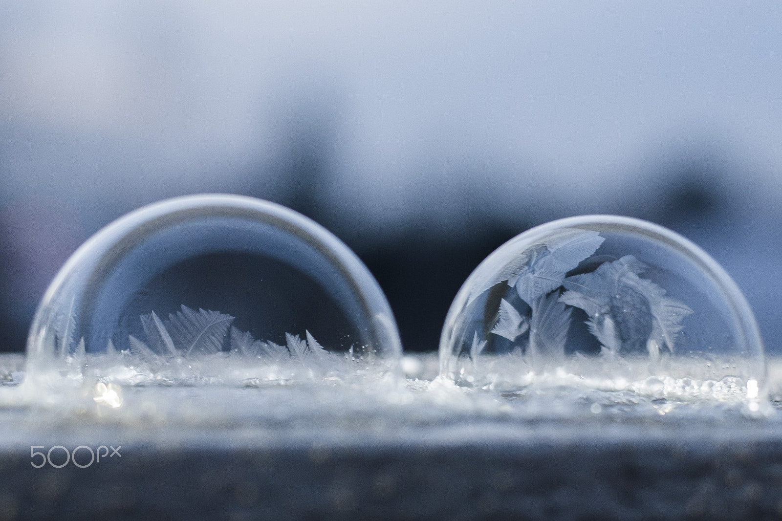 Nikon D3000 + Nikon AF-S Nikkor 50mm F1.8G sample photo. Frozen bubbles photography