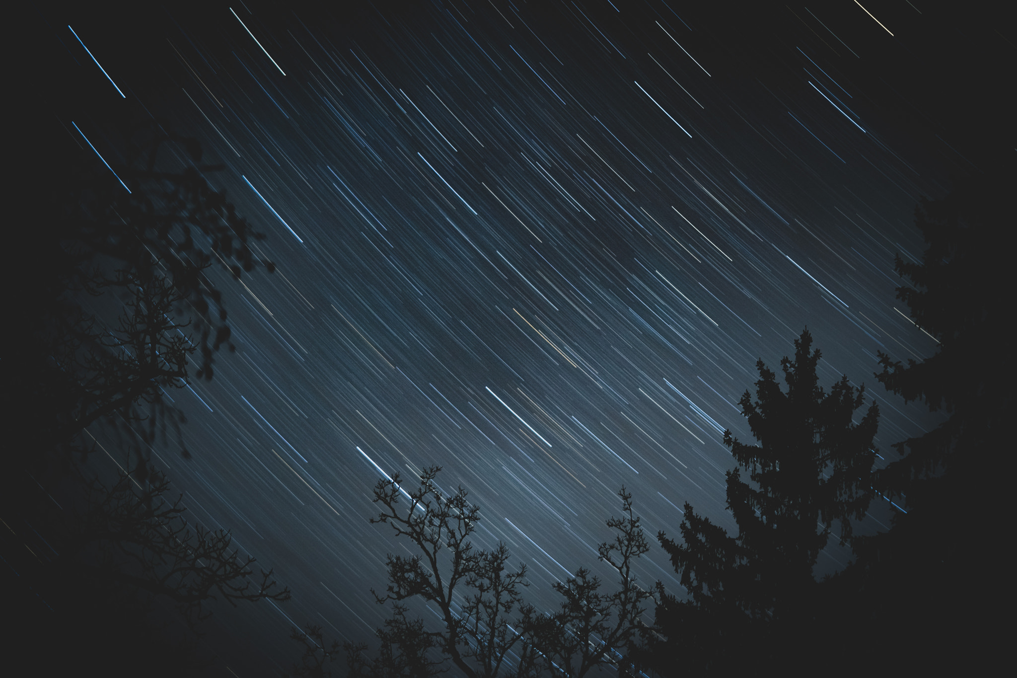 Sony a6300 + Sony FE 90mm F2.8 Macro G OSS sample photo. Startrails disappear behind the forest photography