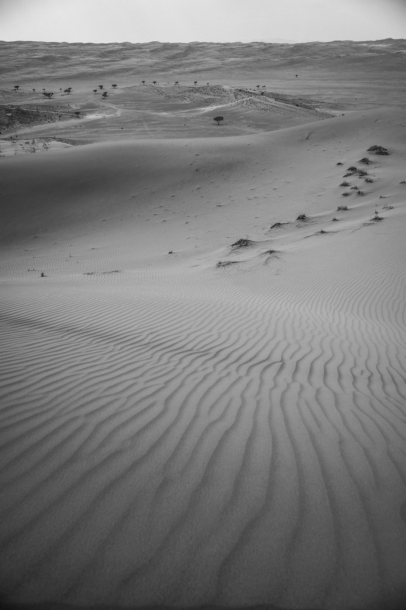 Nikon D700 + Nikon AF Nikkor 24mm F2.8D sample photo. On the otherside photography