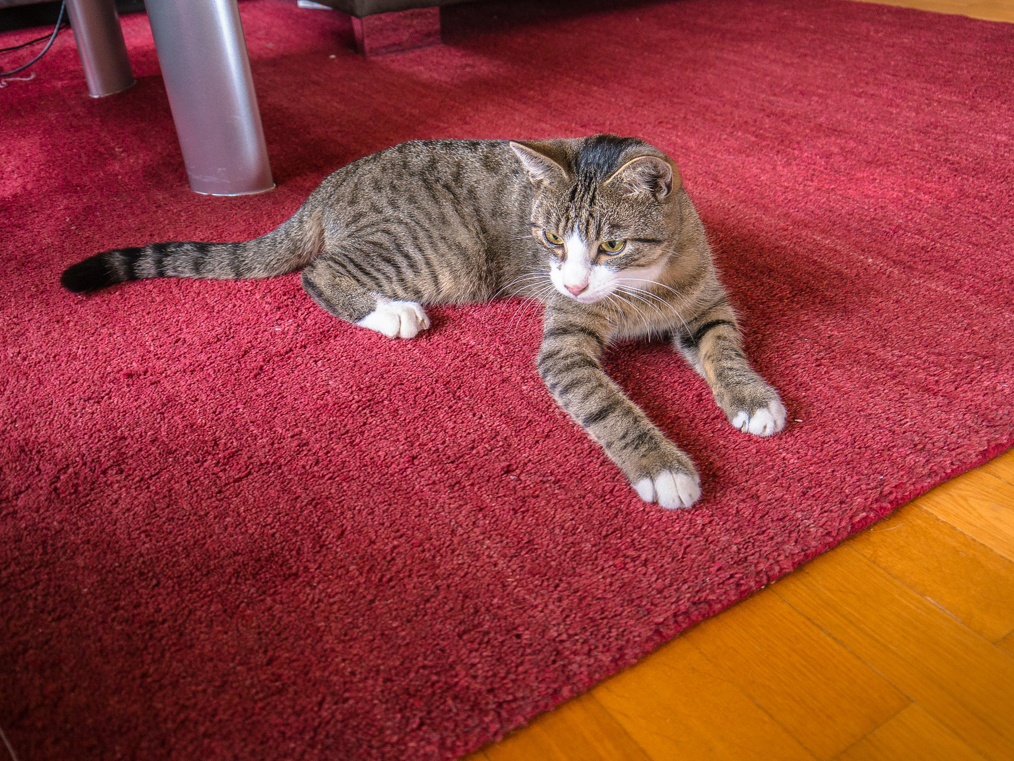 Panasonic Lumix DMC-G5 sample photo. Beute im blick photography