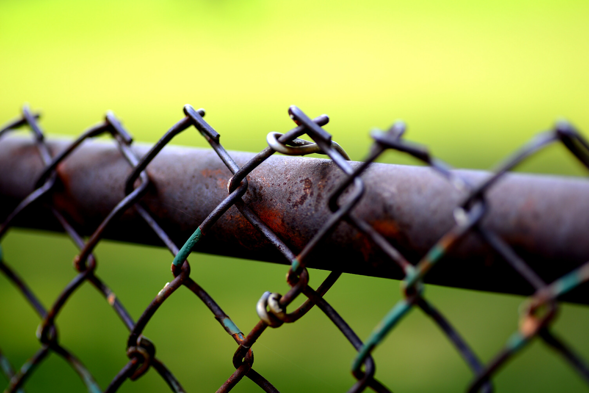 Nikon D600 sample photo. Rusty fence photography