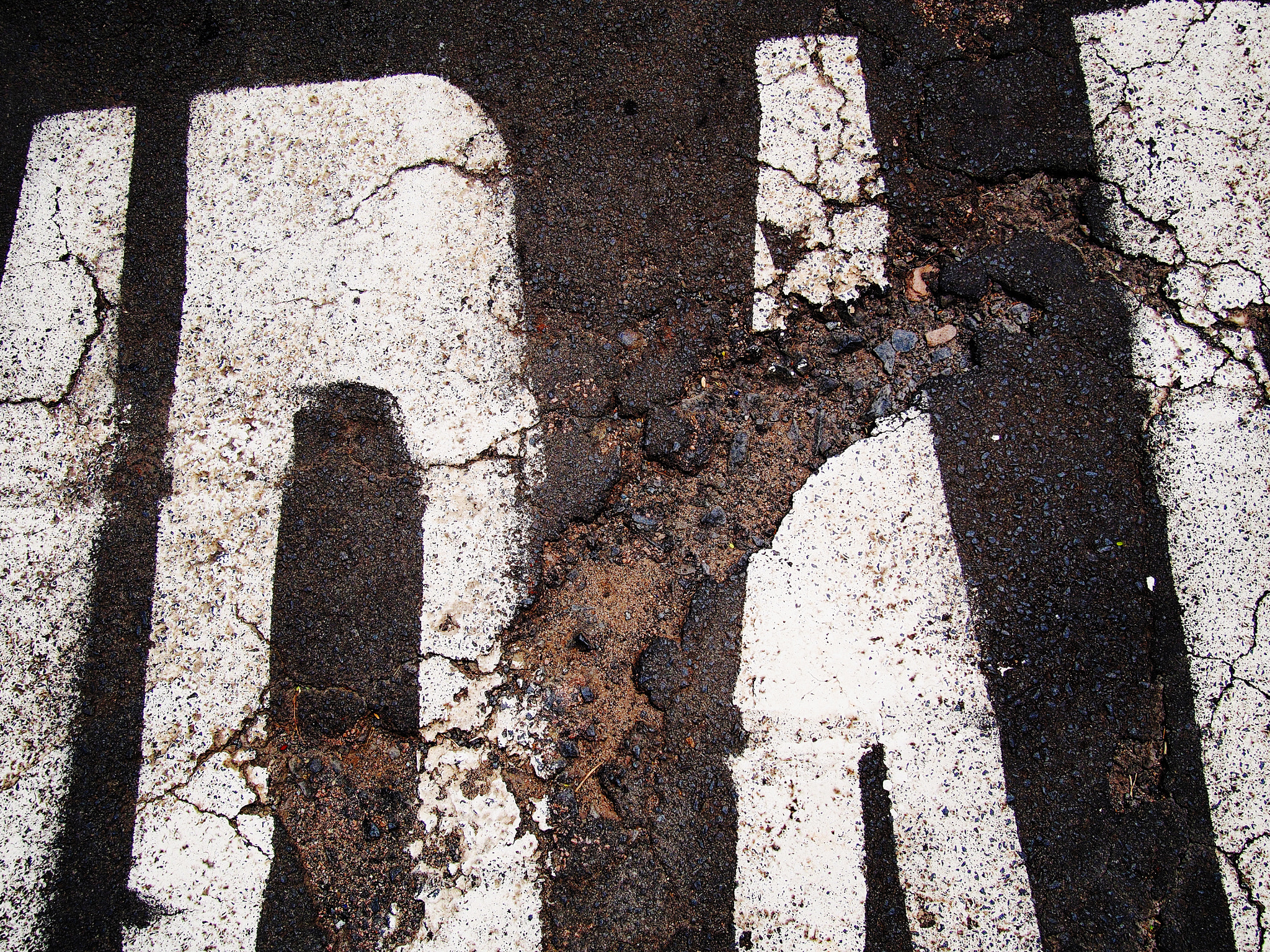 Olympus OM-D E-M5 sample photo. Wound photography