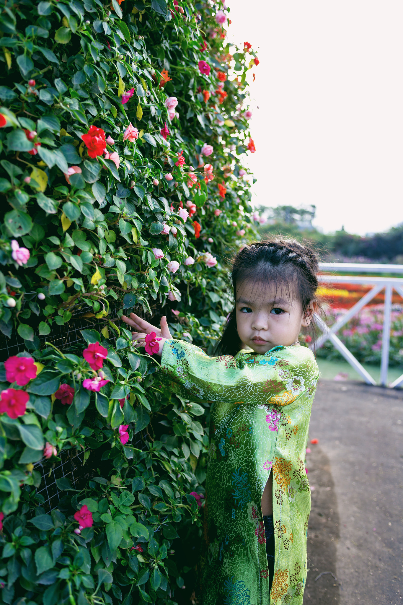 Canon EOS 6D + EF28-70mm f/2.8L USM sample photo. Mg photography